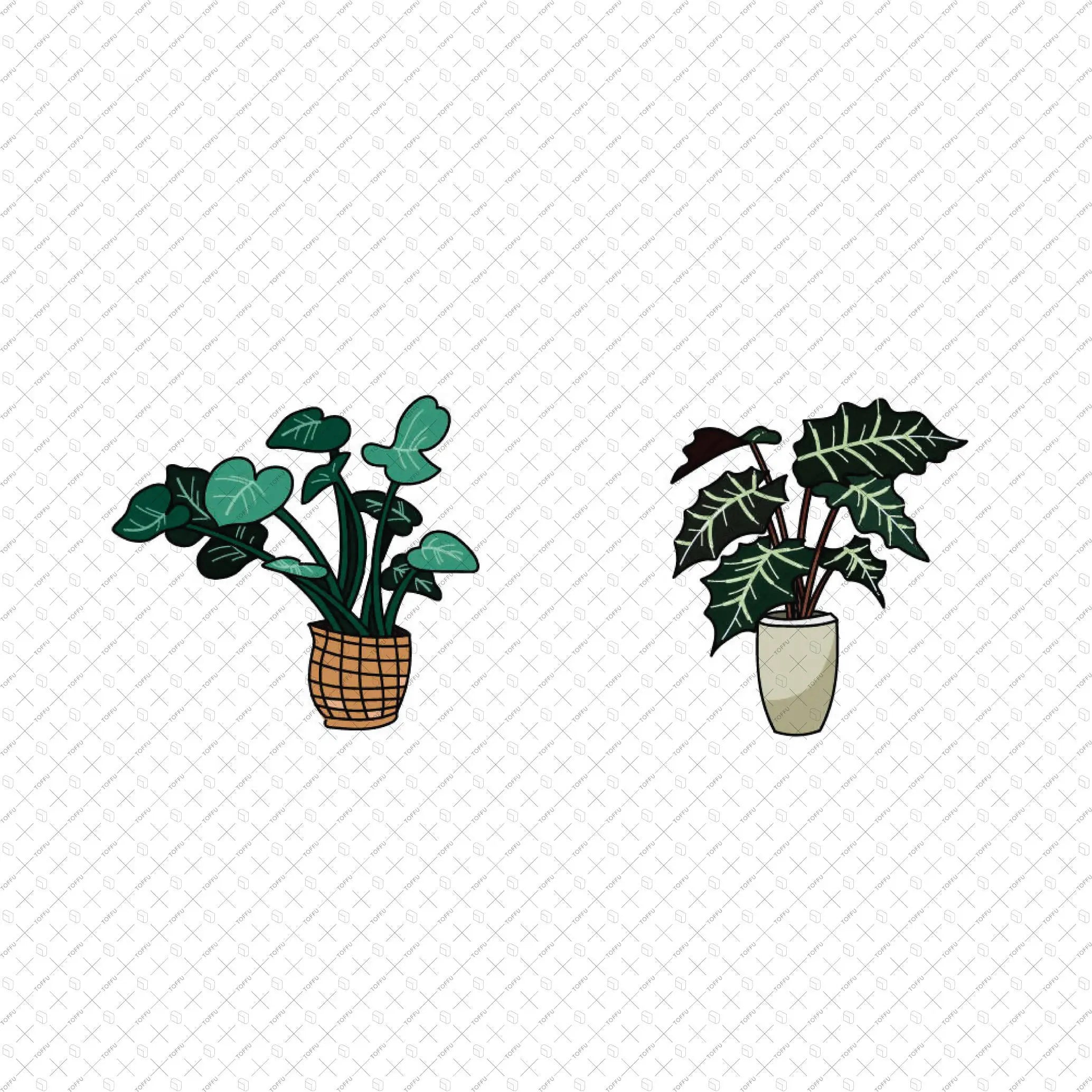 Flat Vector 20 Indoor Plants Digital Artwork drawings | Toffu Co