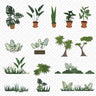 Flat Vector Plants Jungle 15+ PNG - Toffu Co