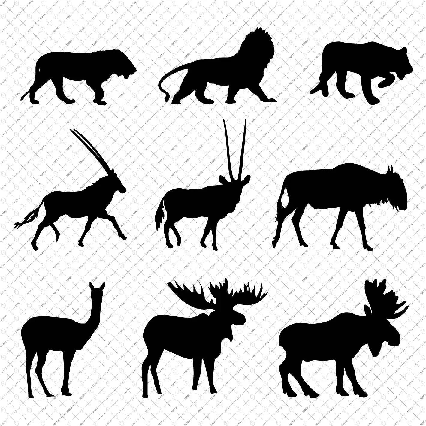 Flat Vector Animals Digital Artwork drawings | Toffu Co