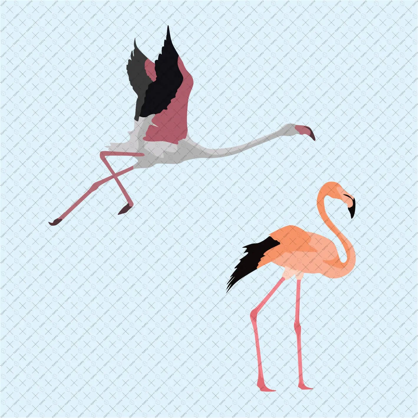 Flat Vector 53 Birds Digital Artwork drawings | Toffu Co