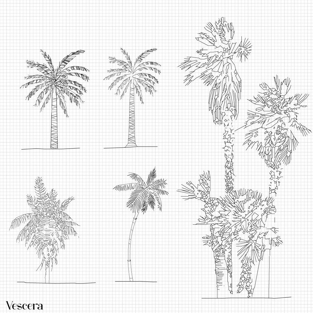 Cad African Tropical Palm Tree IV PNG - Toffu Co