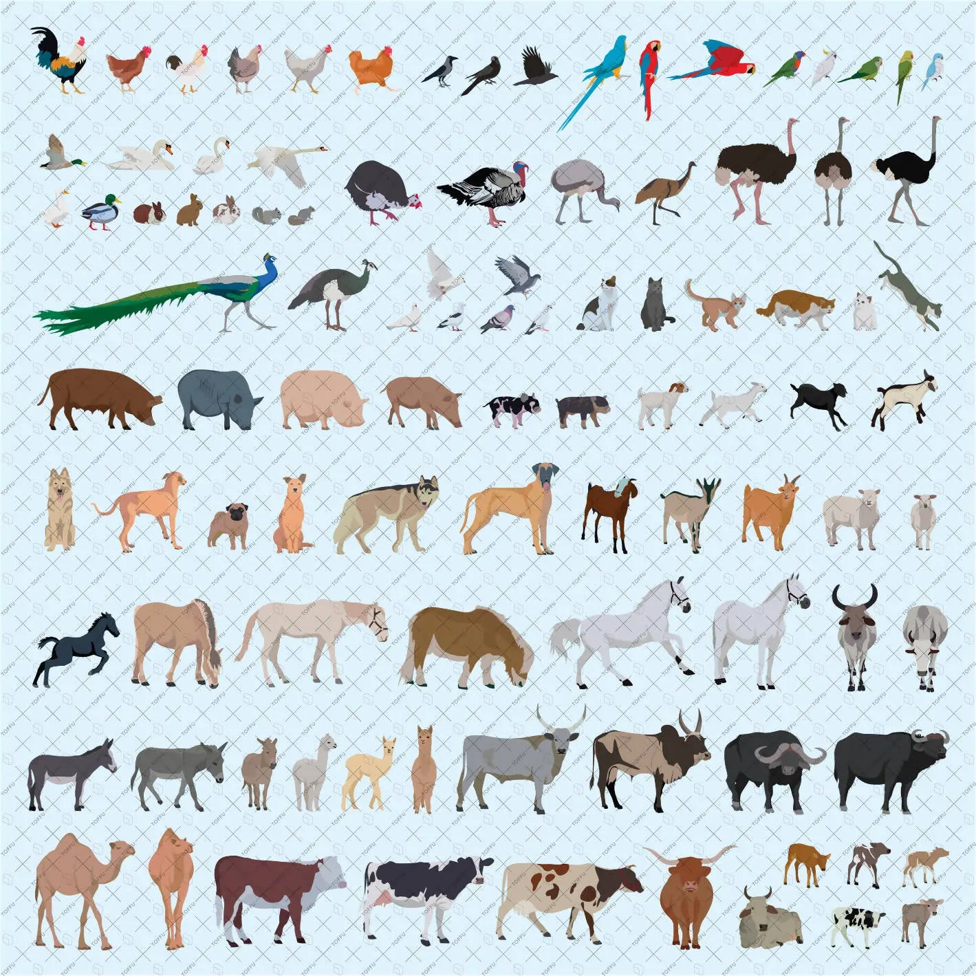 Flat Vector 100 Domestic Animals & Birds PNG - Toffu Co