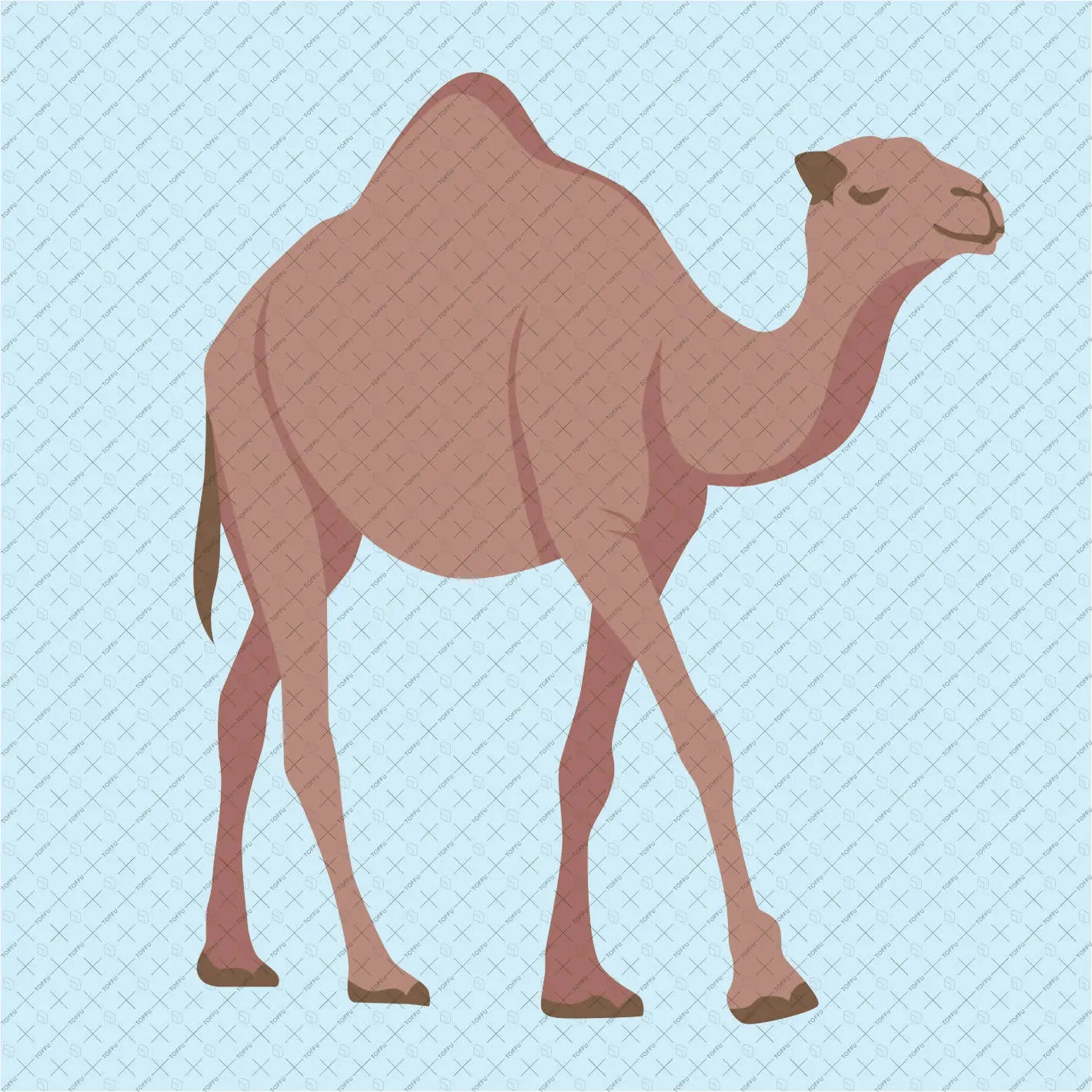 Flat Vector Saudi Arabia Pack Digital Artwork drawings | Toffu Co