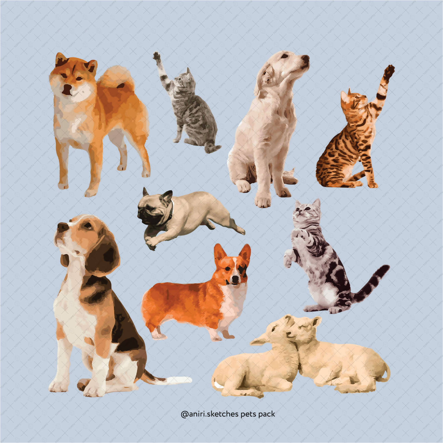 Flat Vector Illustrated Pack - "Pets" PNG - Toffu Co
