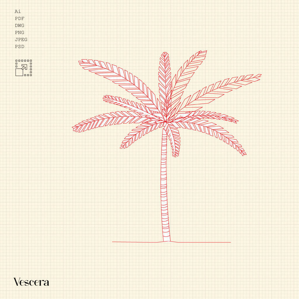 Cad African Tropical Palm Tree II PNG - Toffu Co