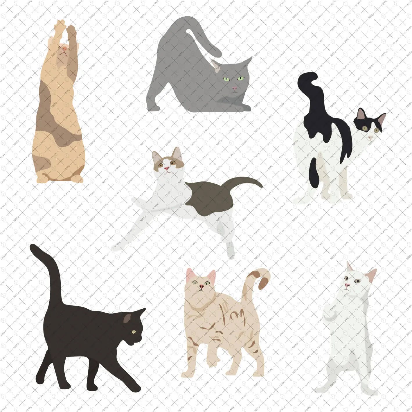 Flat Vector Cats Digital Artwork drawings | Toffu Co