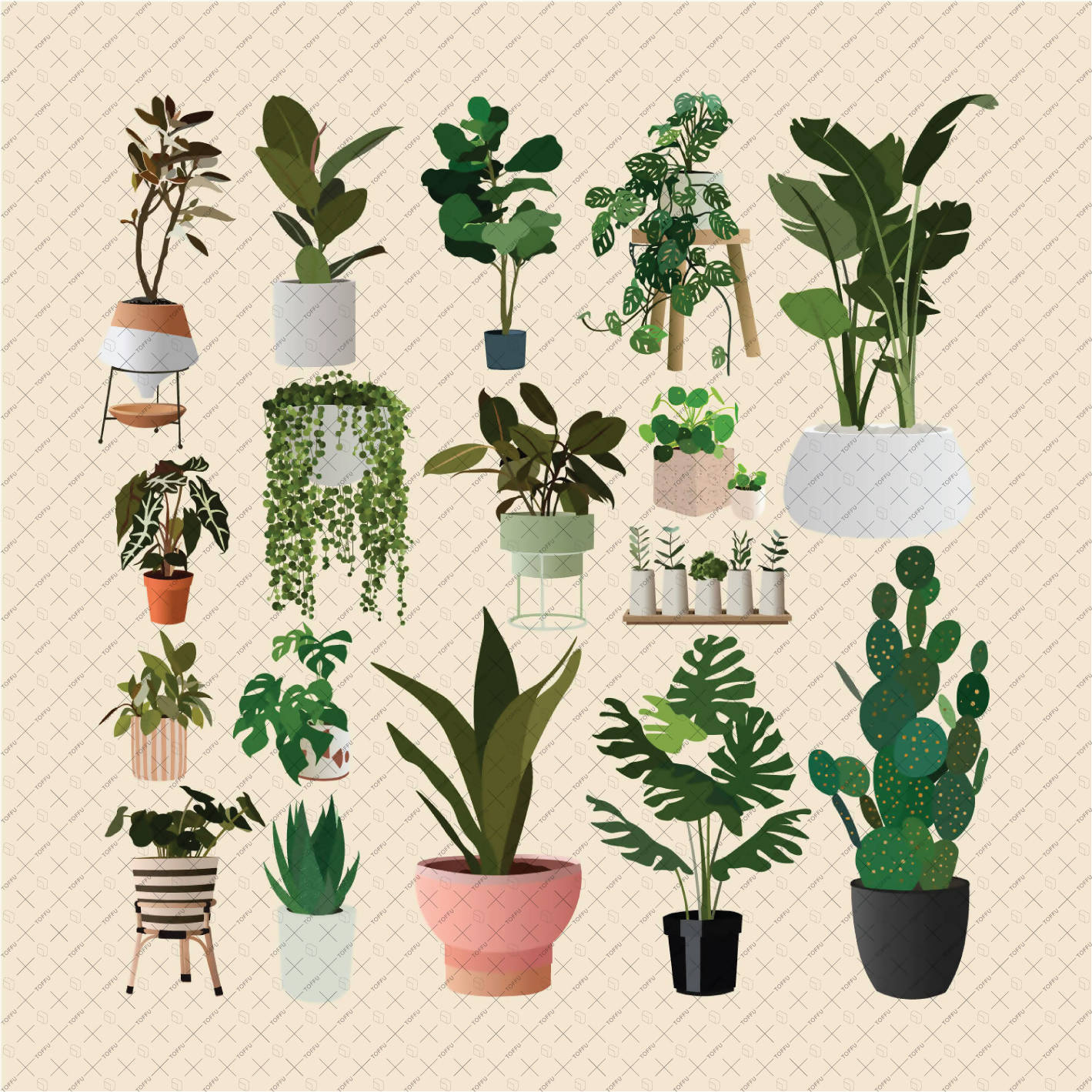 Flat Vector 18 Plants Pack PNG - Toffu Co