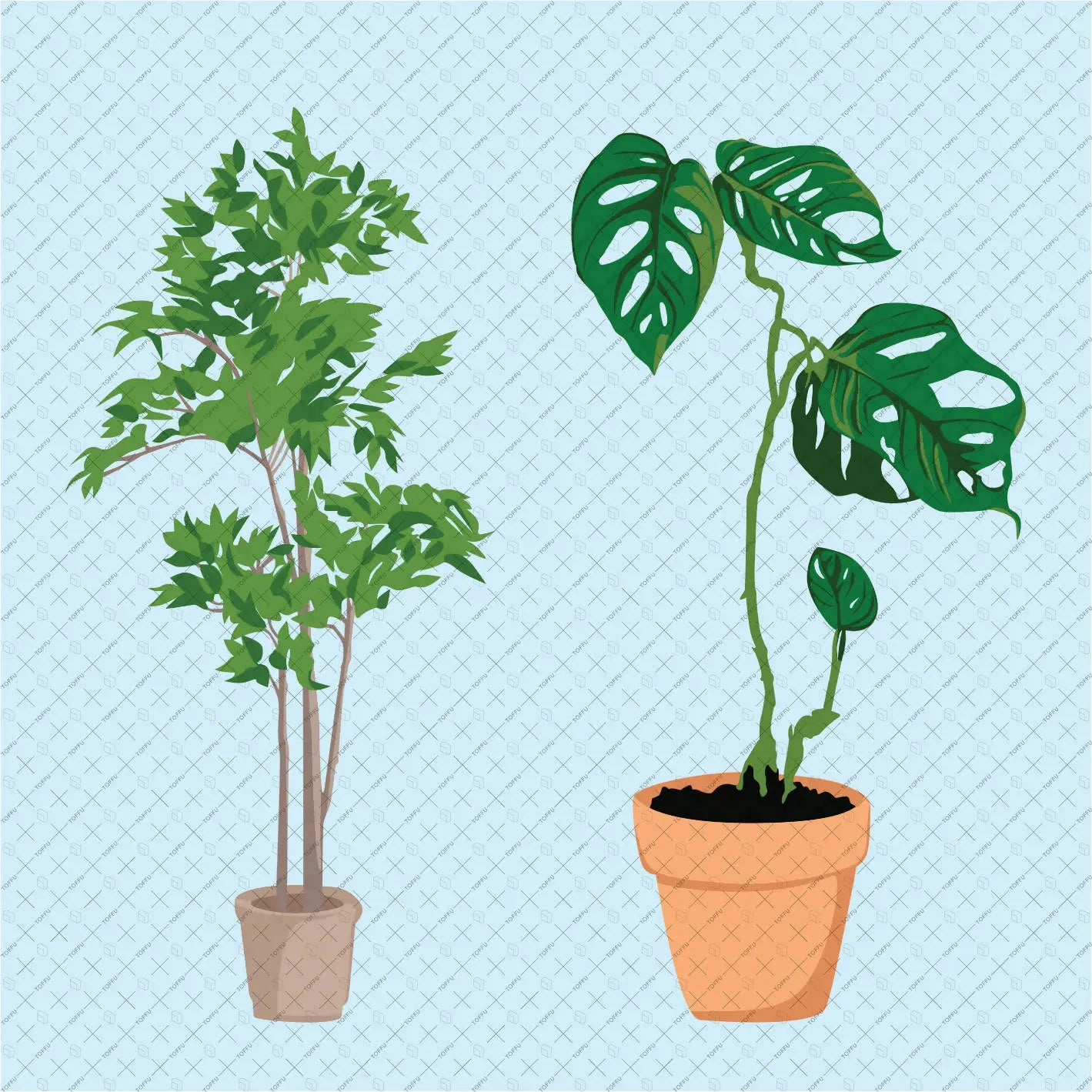 Flat Vector Indoor Plants Digital Artwork drawings | Toffu Co