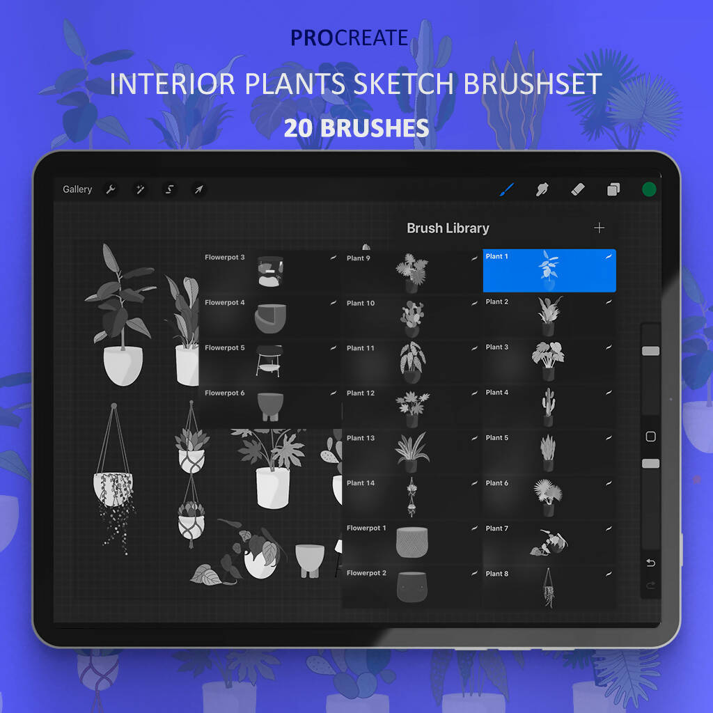 Procreate Interior Plants Sketch Brushset PNG - Toffu Co