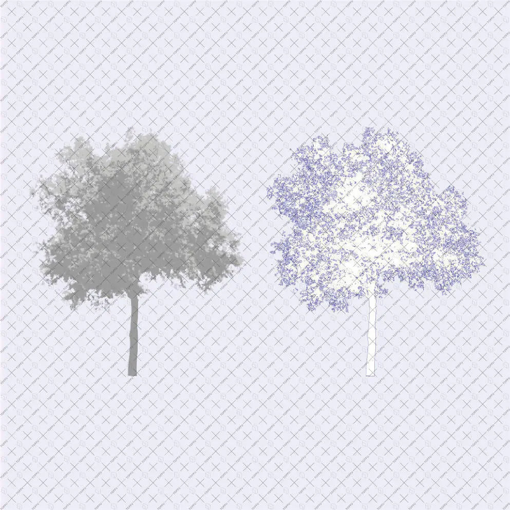 Flat Vector Shaded Trees Digital Artwork drawings | Toffu Co