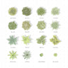 Flat Vector Plan Vegetation and Shadows Bundle Digital Artwork drawings | Toffu Co