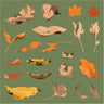 Flat Vector Dry Leaves PNG - Toffu Co