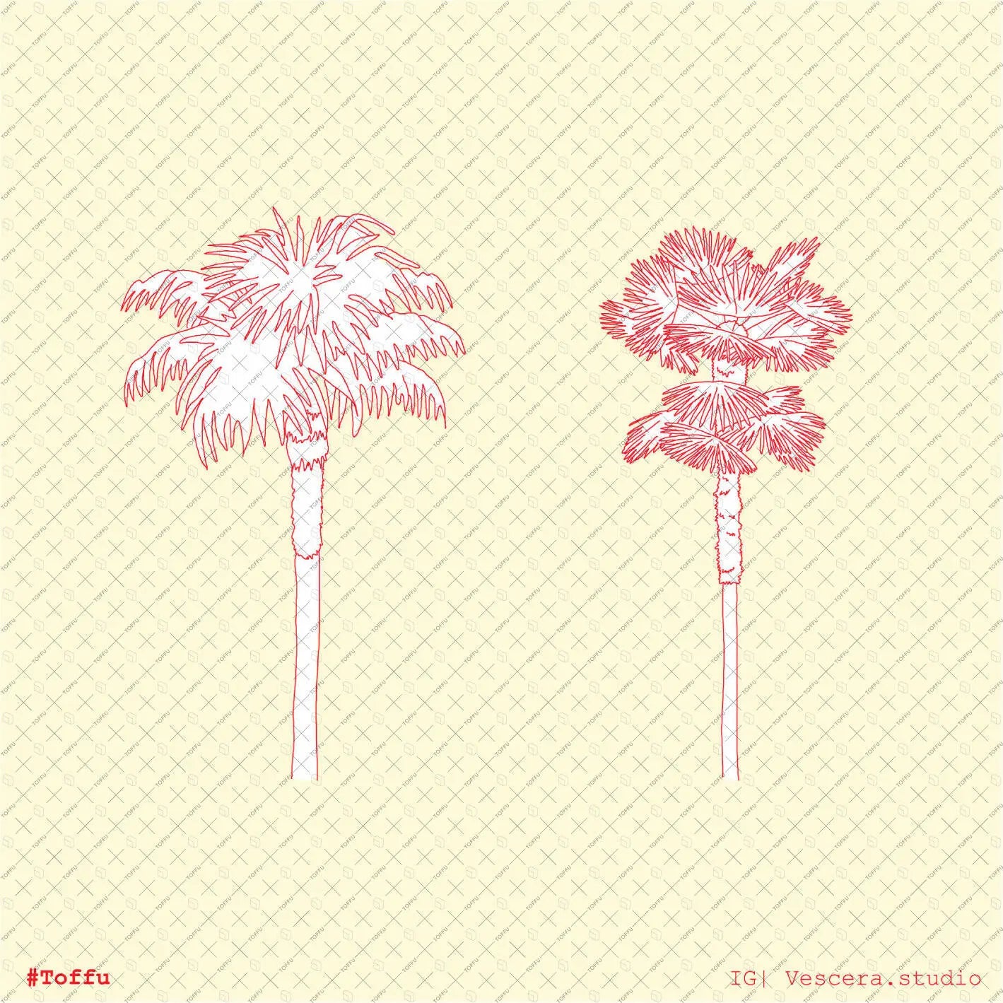 Cad African & Tropical Trees Digital Artwork drawings | Toffu Co