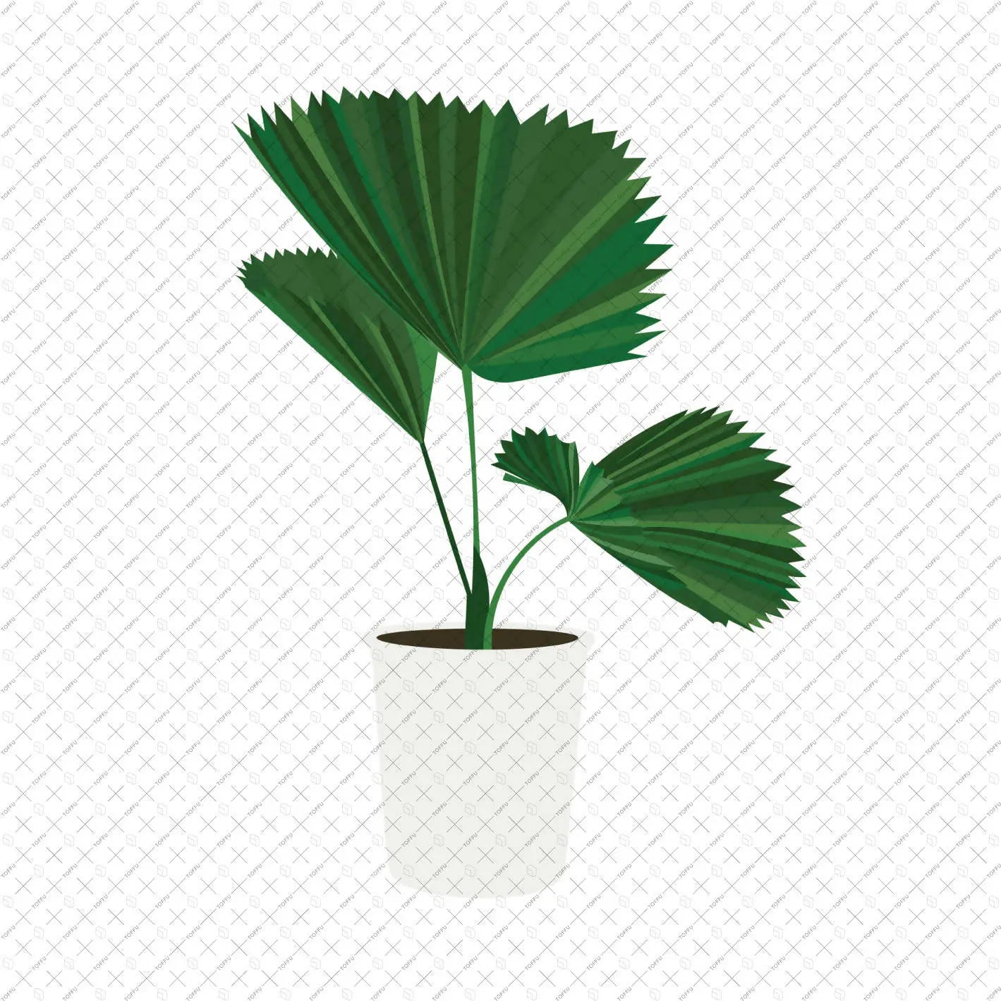 Flat Vector Plants in White Pots (12 Figures) Digital Artwork drawings | Toffu Co