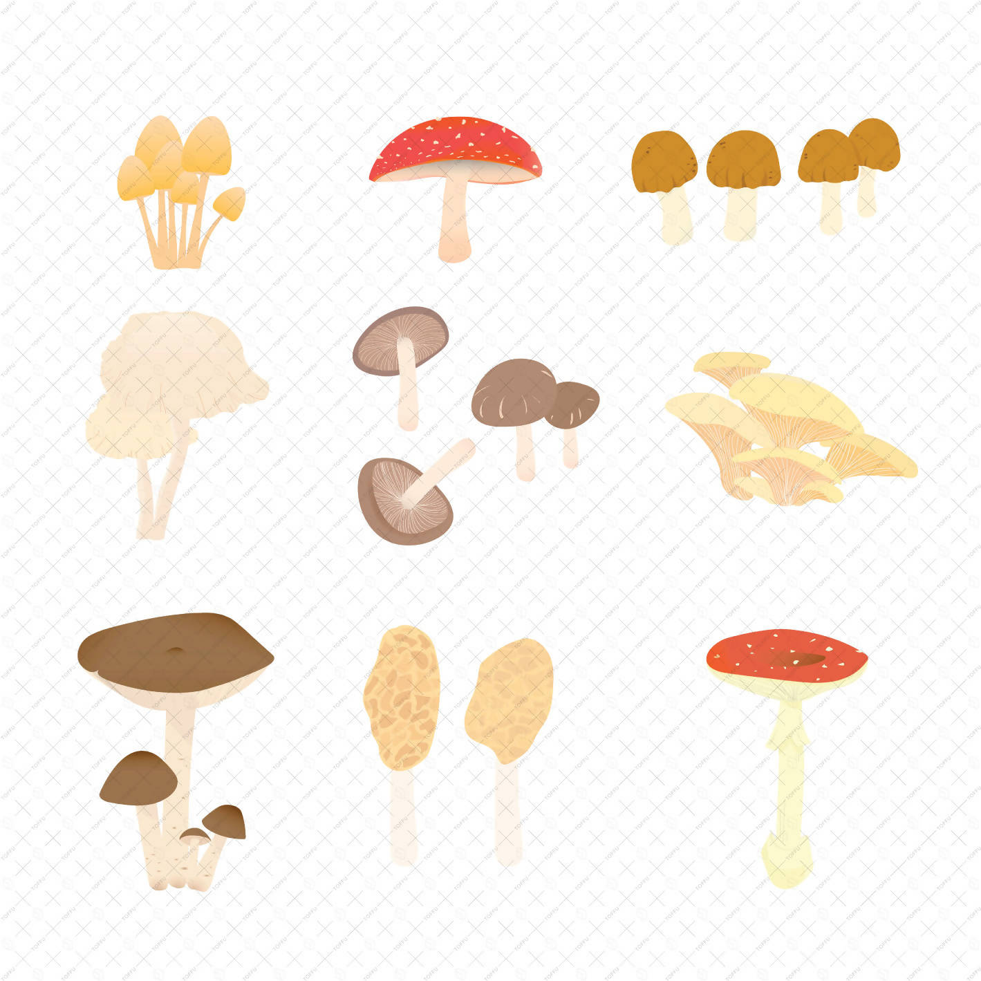 Flat Vector Mushrooms PNG - Toffu Co