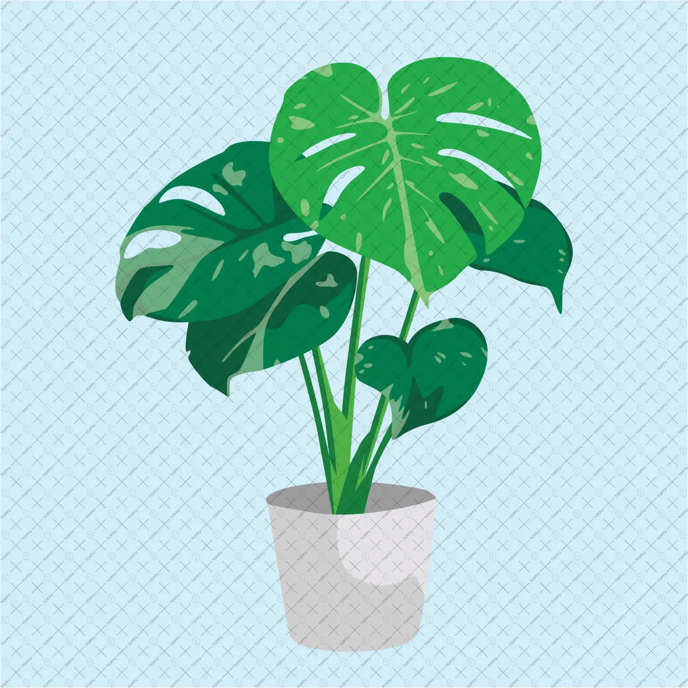 Flat Vector Indoor Plants Digital Artwork drawings | Toffu Co
