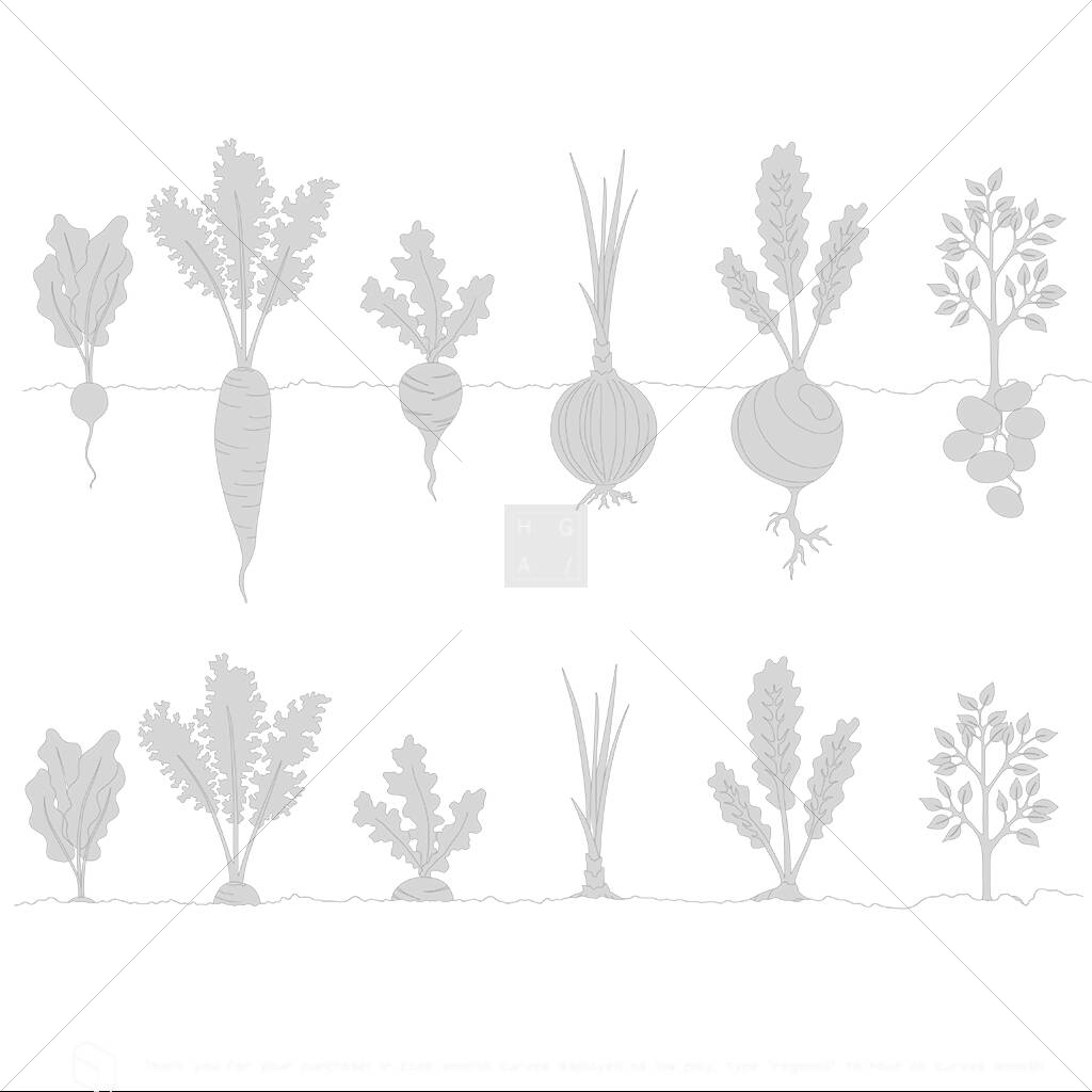Cad Root Vegetables PNG - Toffu Co
