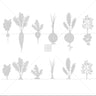 Cad Root Vegetables PNG - Toffu Co
