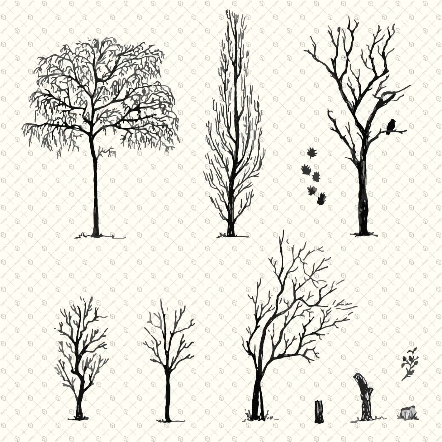 Flat Vector Freehand Dry Trees Digital Artwork drawings | Toffu Co