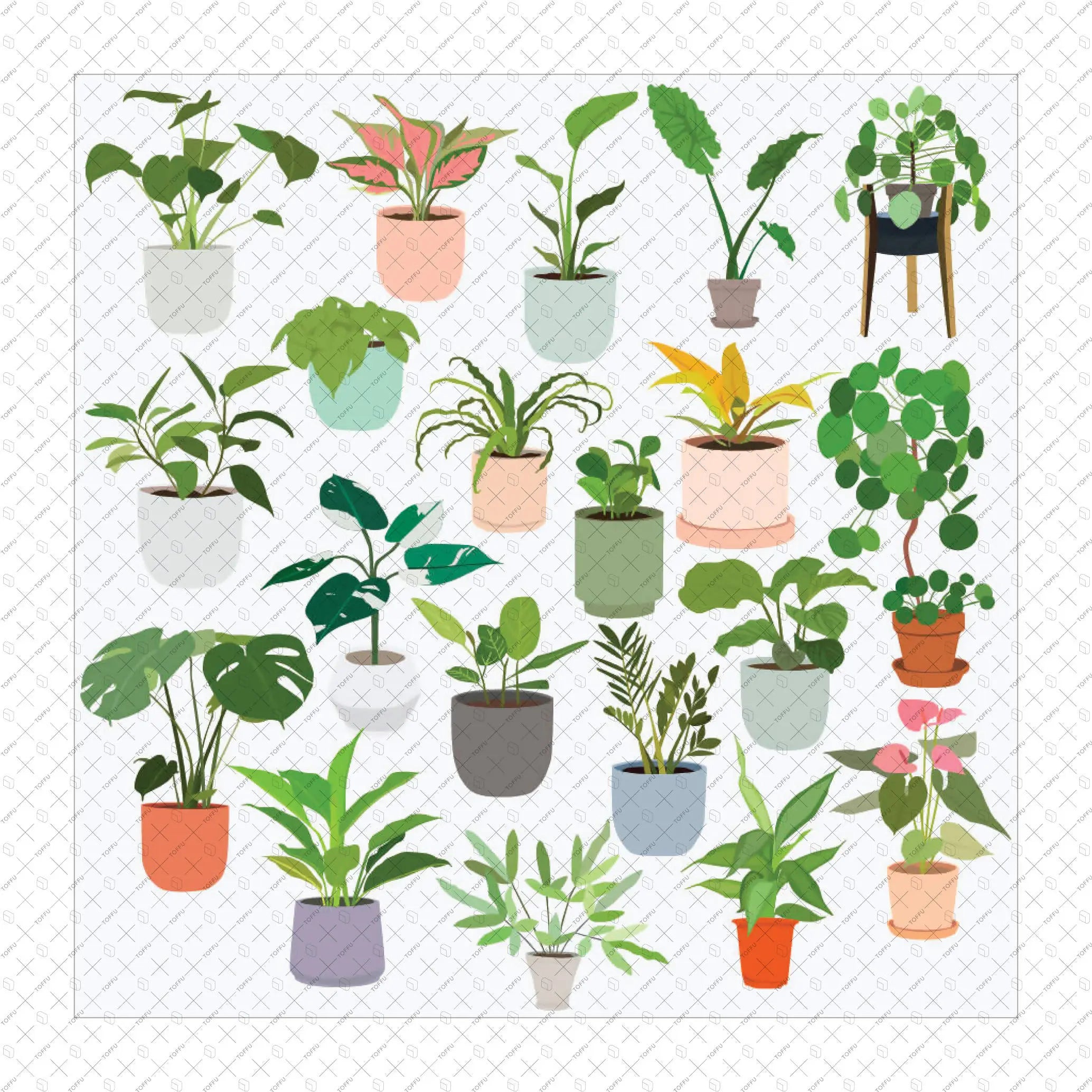 Flat Vector Indoor Plants Collection (20 Figures) Digital Artwork drawings | Toffu Co