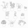 Flat Vector House Plants PNG - Toffu Co