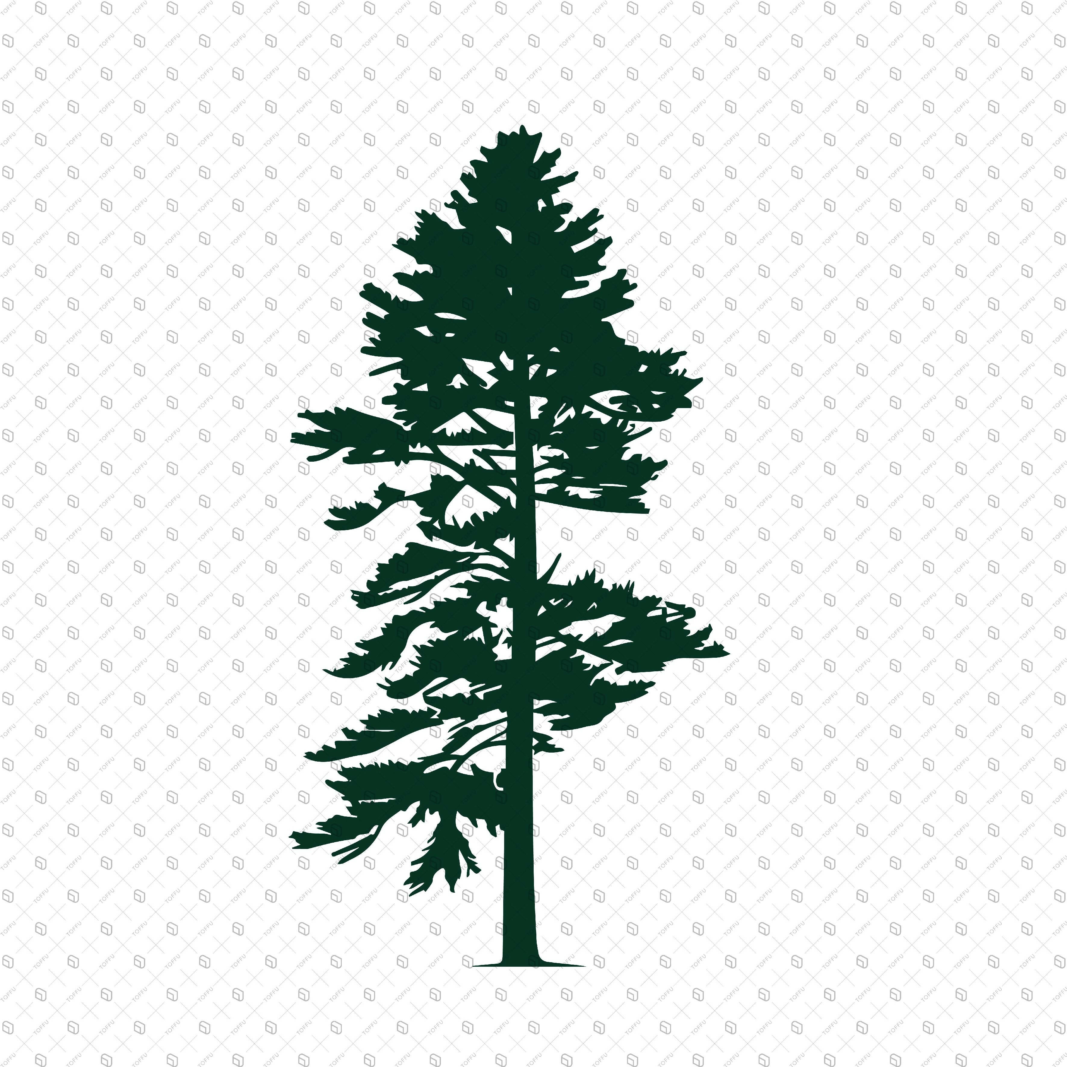Flat Vector Set of Trees PNG - Toffu Co