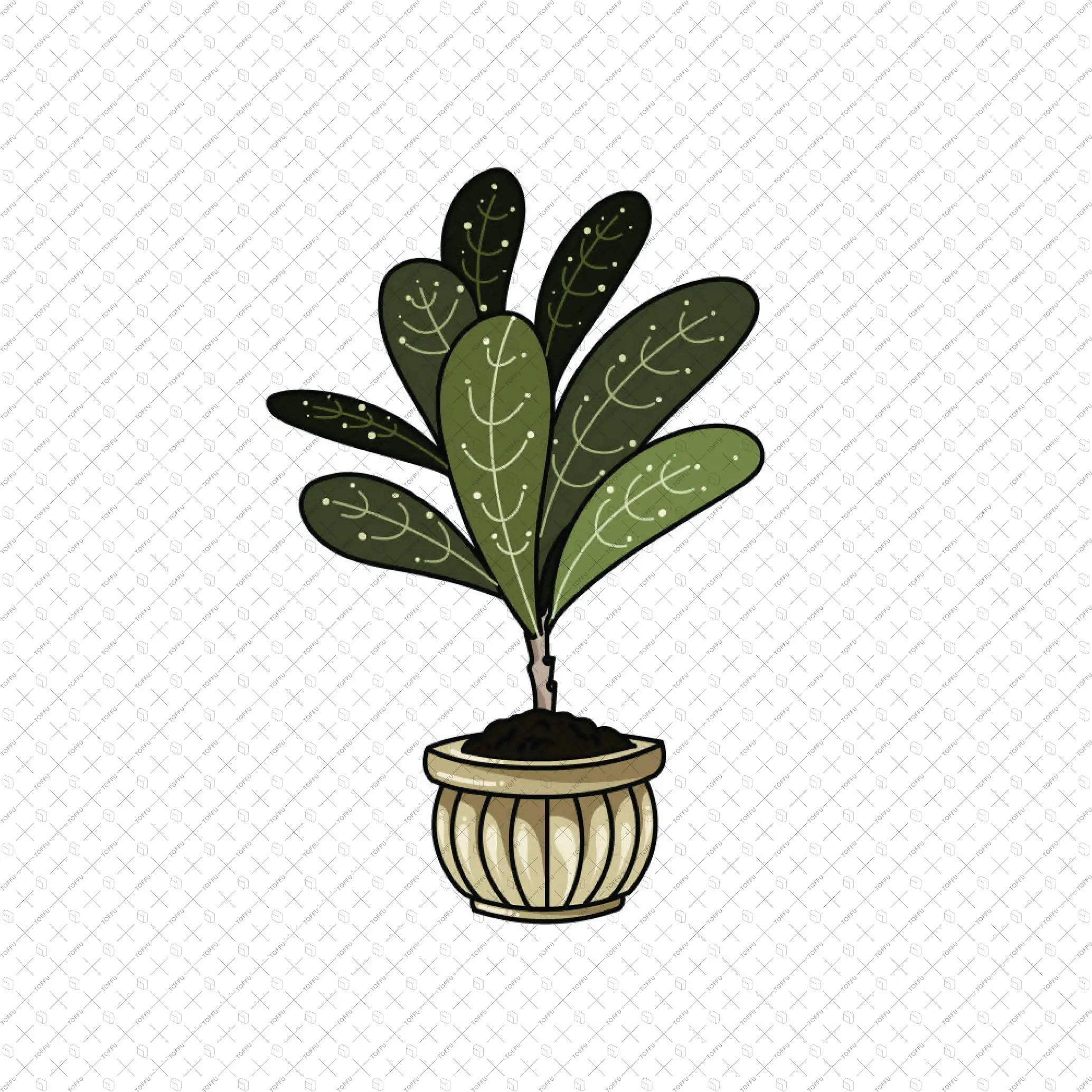 Flat Vector 20 Indoor Plants Digital Artwork drawings | Toffu Co