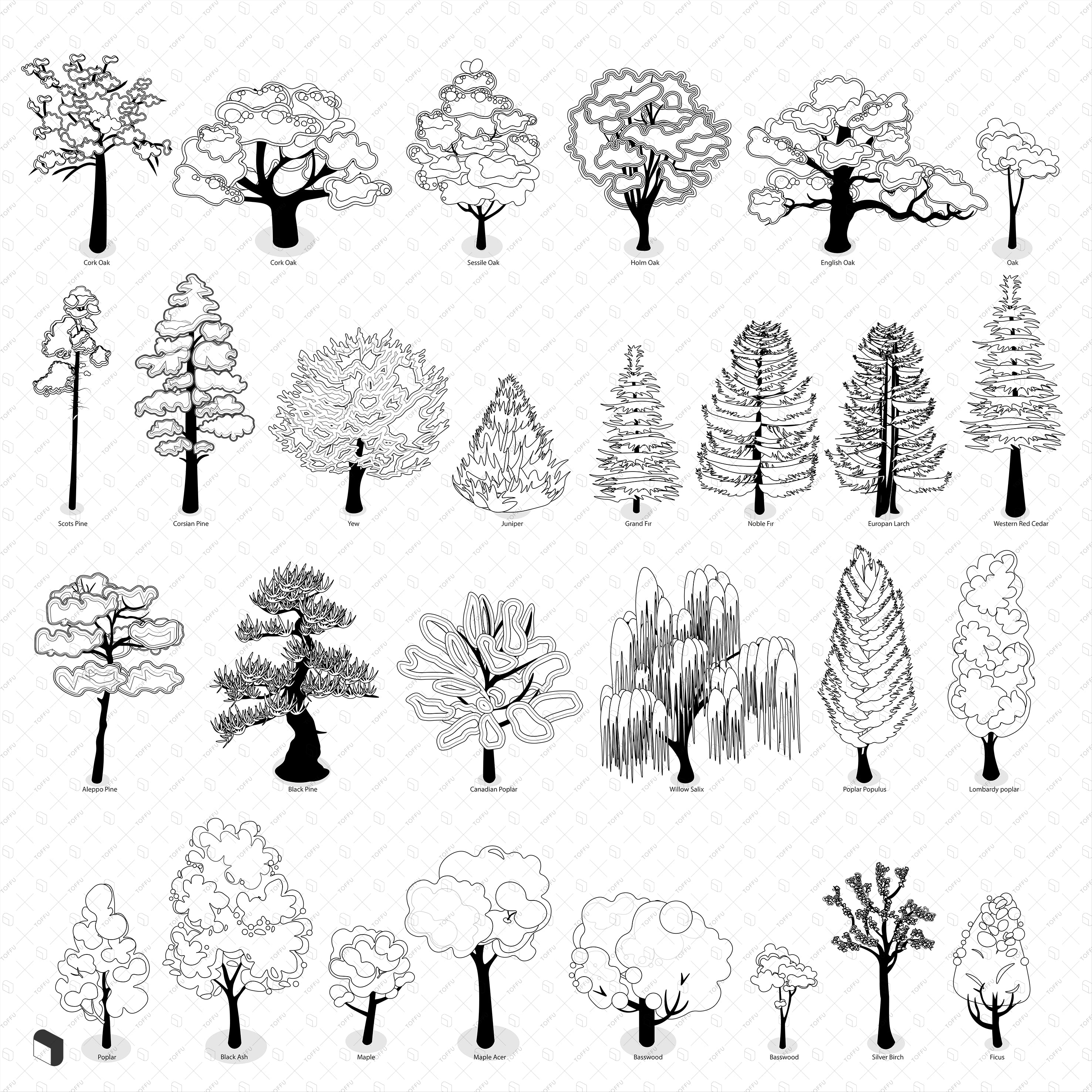 Types of trees. - Stock Illustration [22475812] - PIXTA