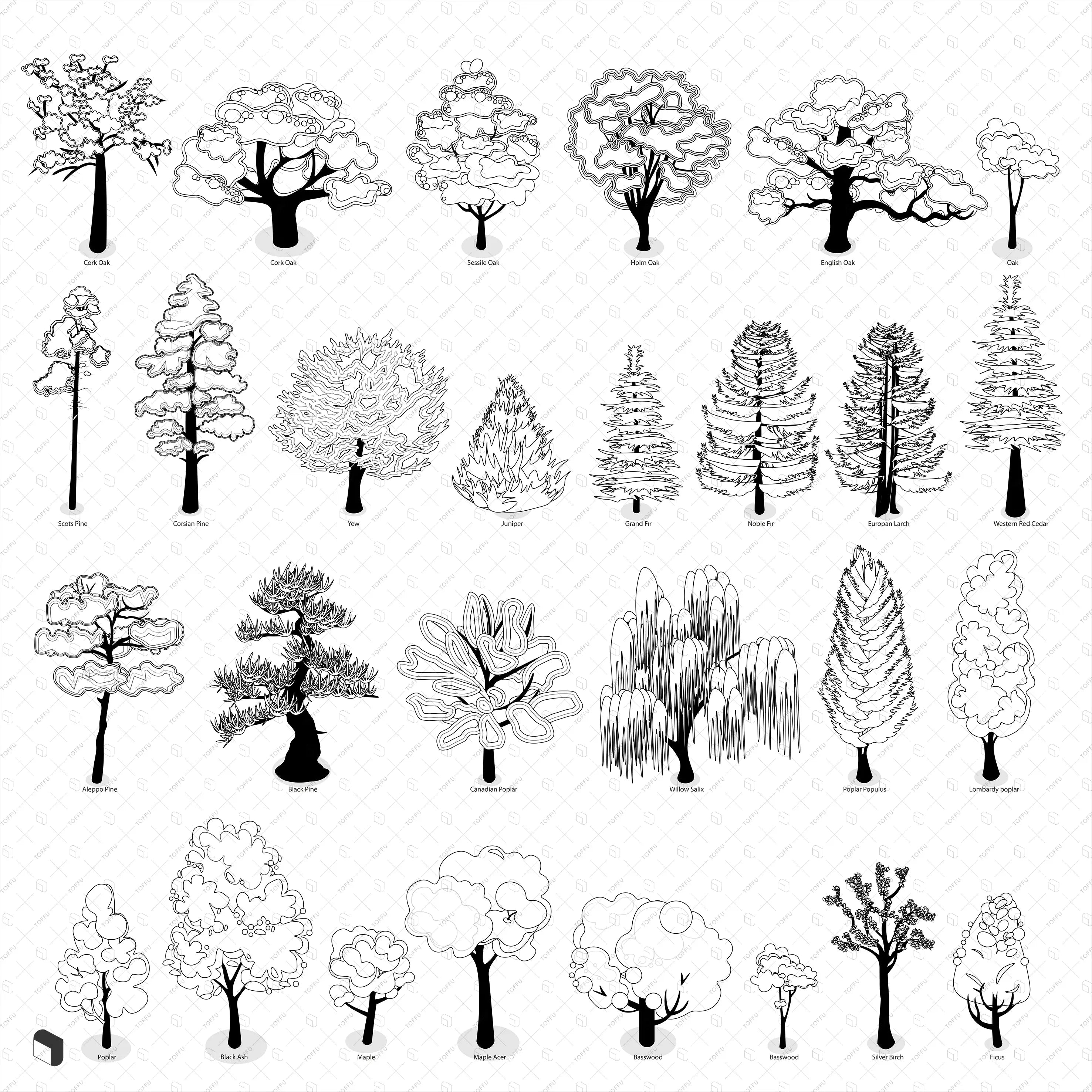 Axonometric Colorful & Black and White Trees with Names Digital Artwork drawings | Toffu Co