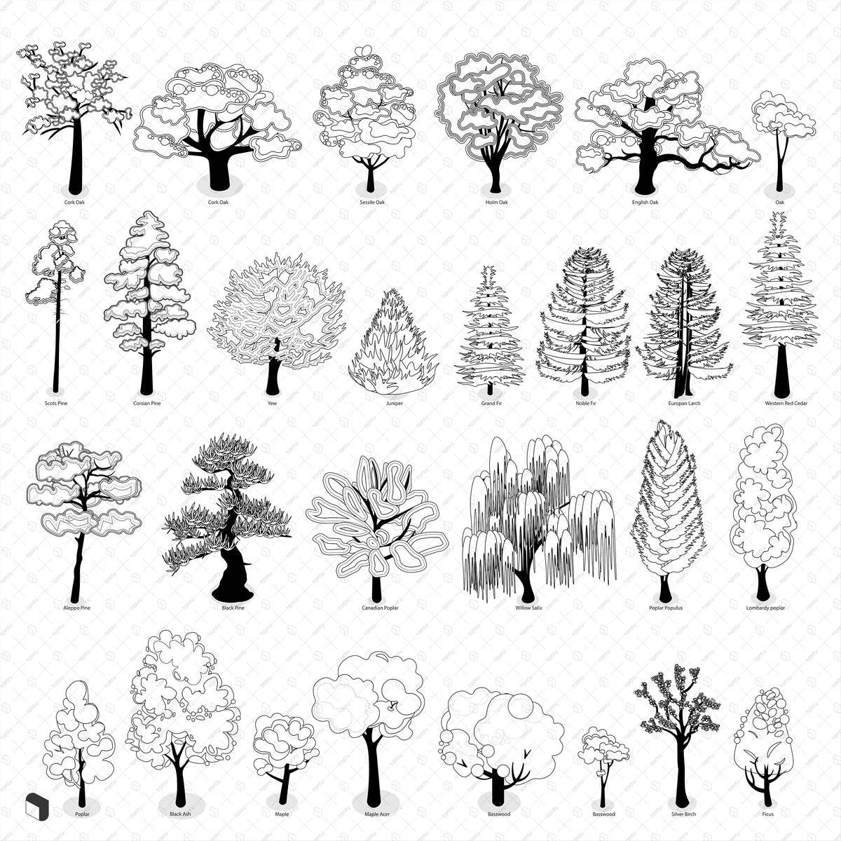 Tree Drawing Data Tree Drawings Black And White
