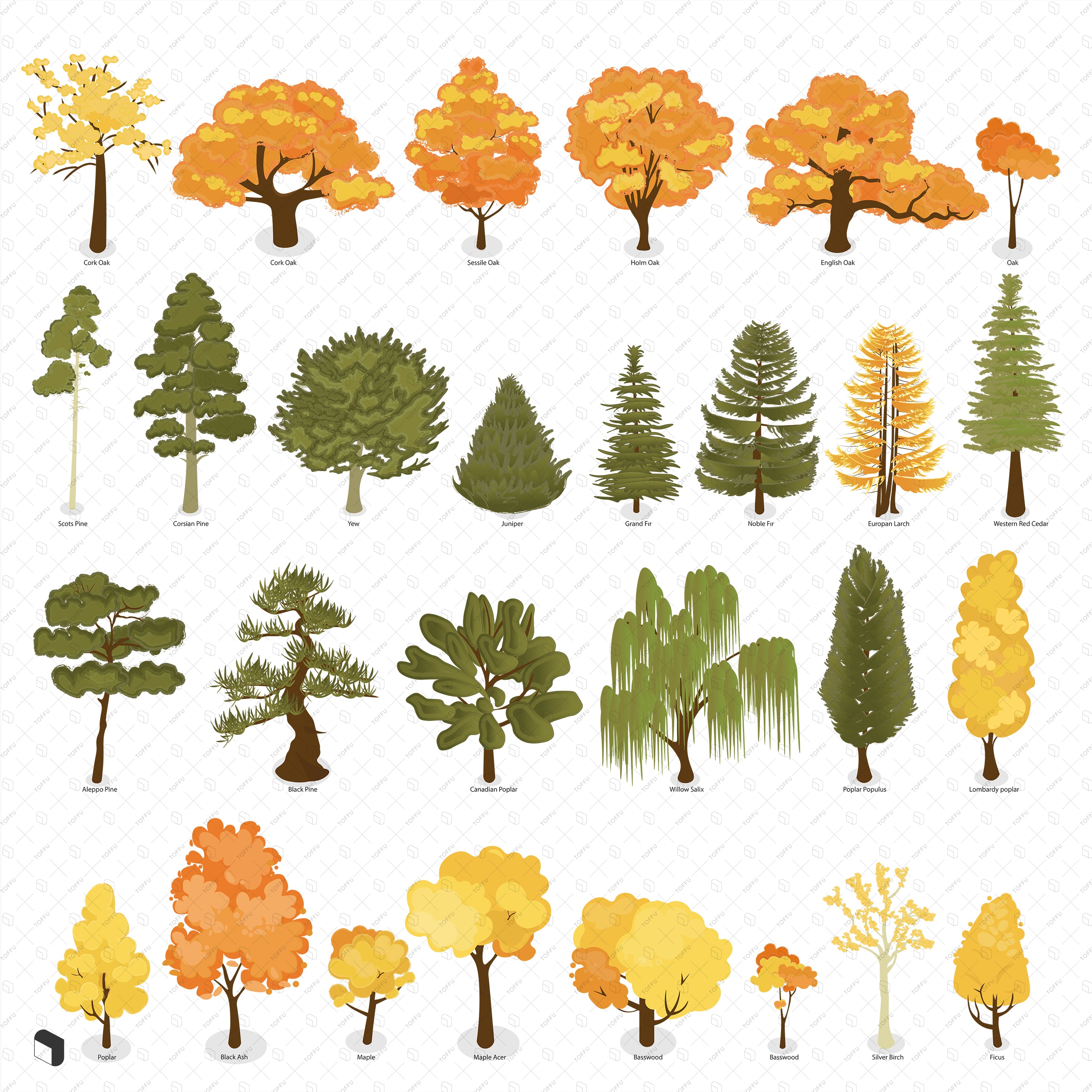 Axonometric Colorful & Black and White Sample Trees with Names PNG - Toffu Co