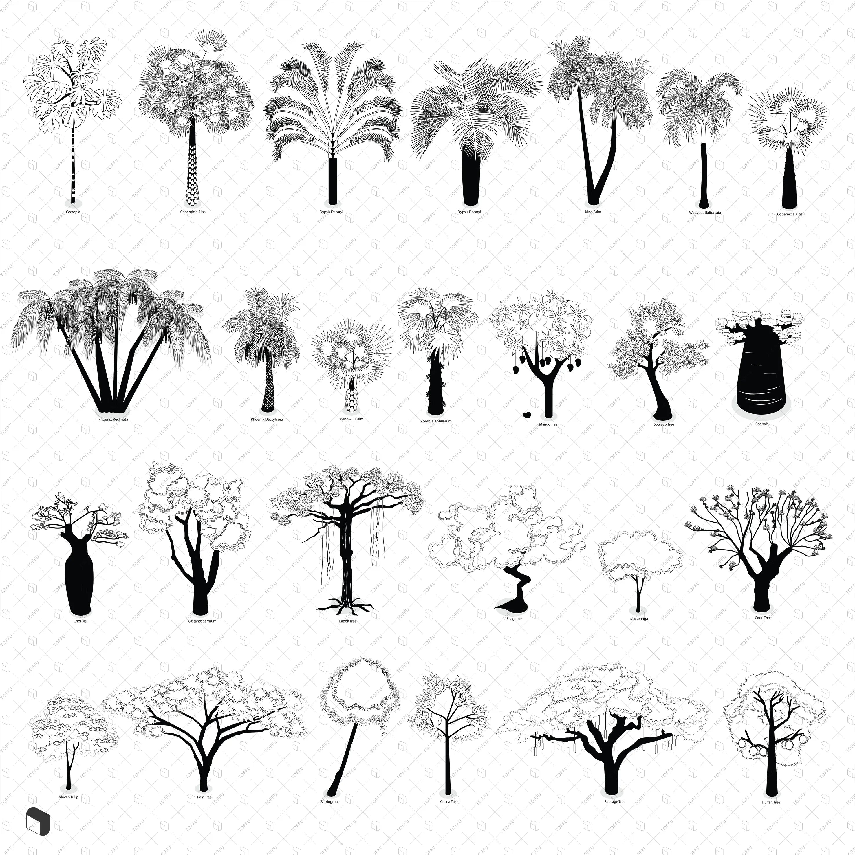 Axonometric Colorful & Black and White Tropical Trees with Names Digital Artwork drawings | Toffu Co