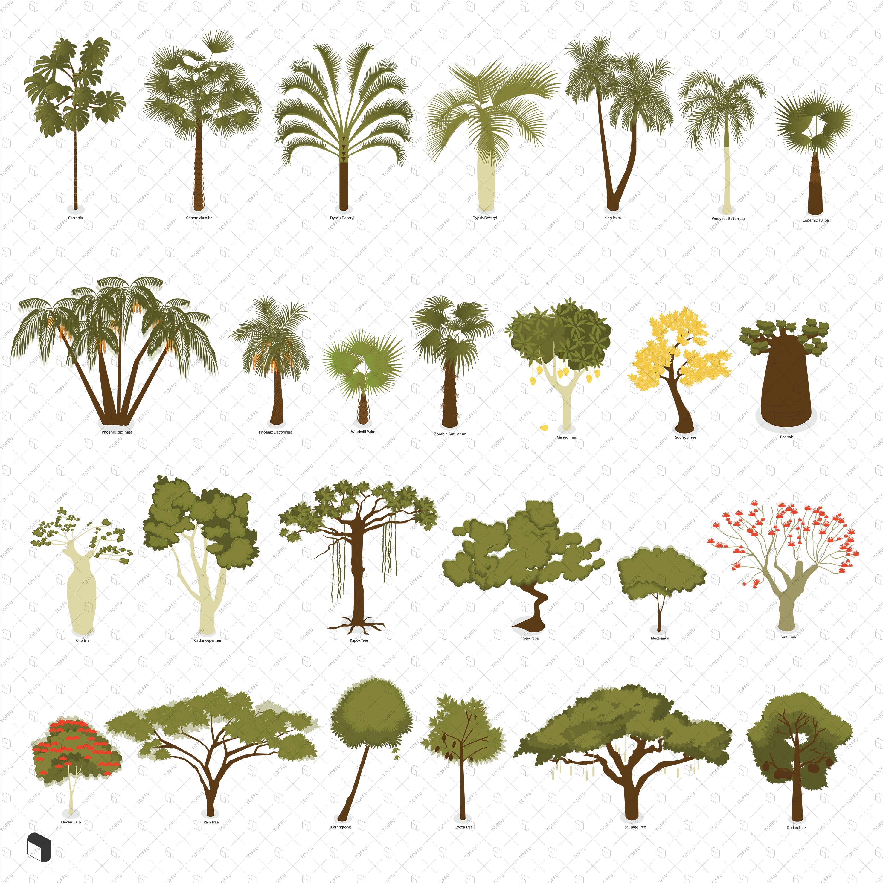 Axonometric Colorful & Black and White Tropical Trees with Names PNG - Toffu Co