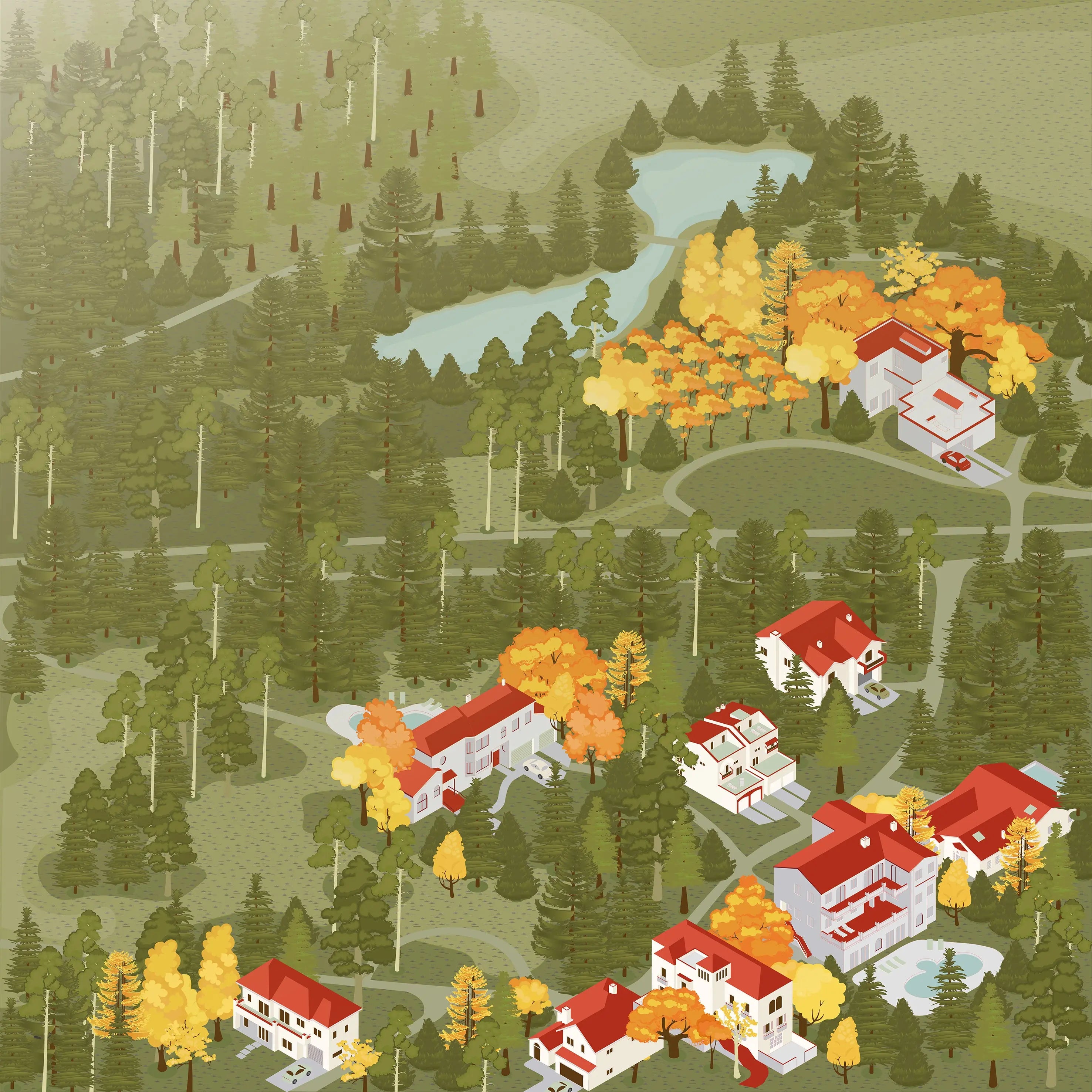Axonometric Colorful & Black and White Trees with Names Digital Artwork drawings | Toffu Co