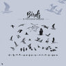 Brush Birds PNG - Toffu Co