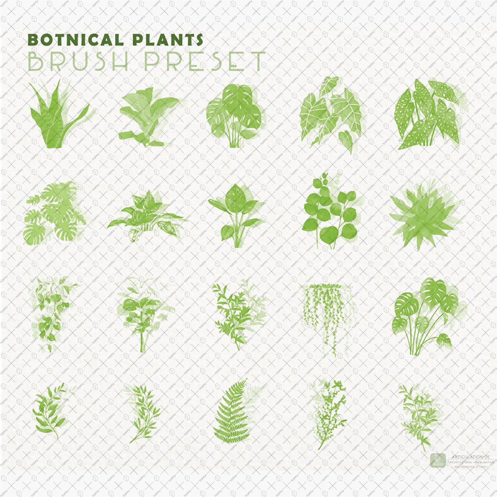 Brush Botanical Plants ABR | Toffu Co