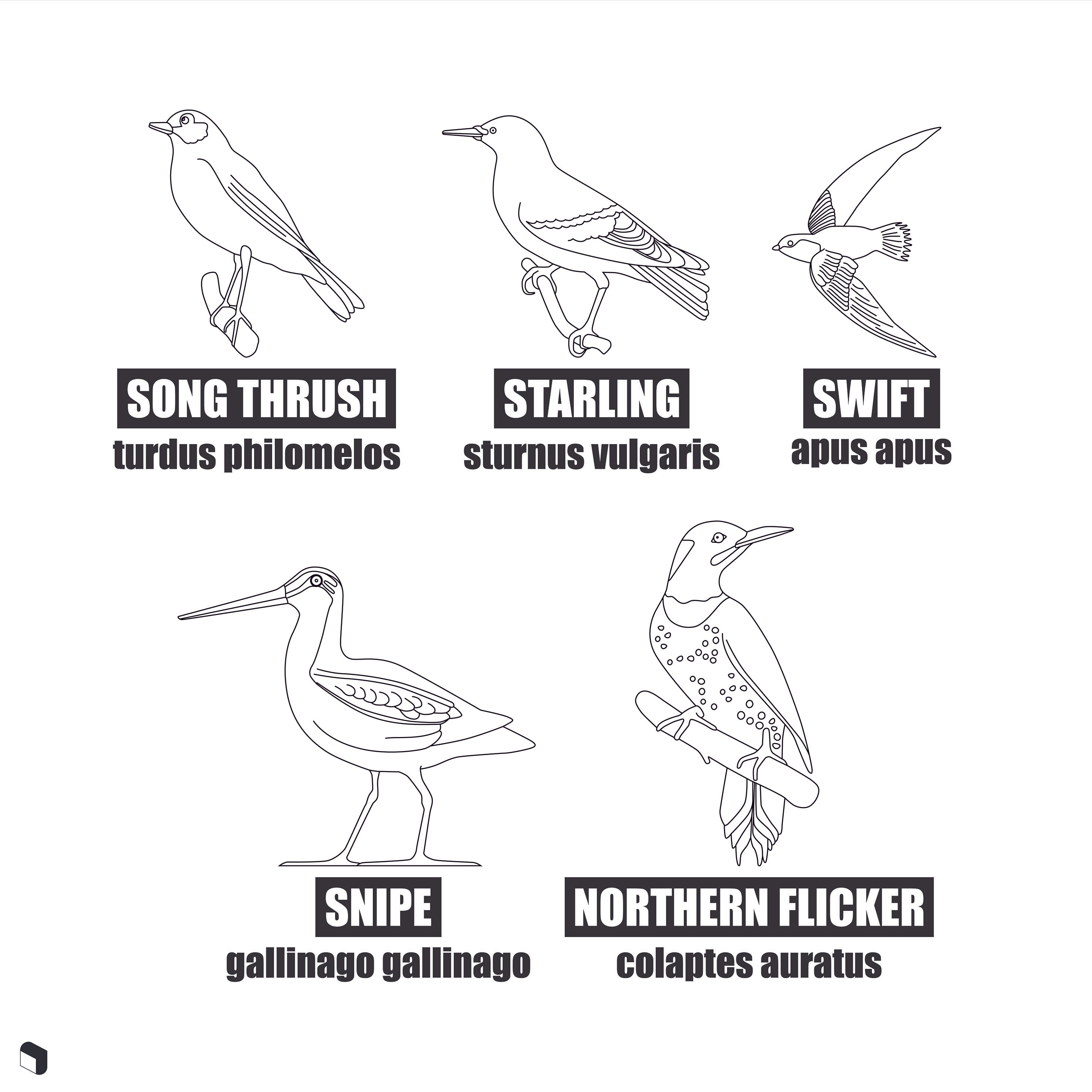 Cad Birds With Names DWG | Toffu Co