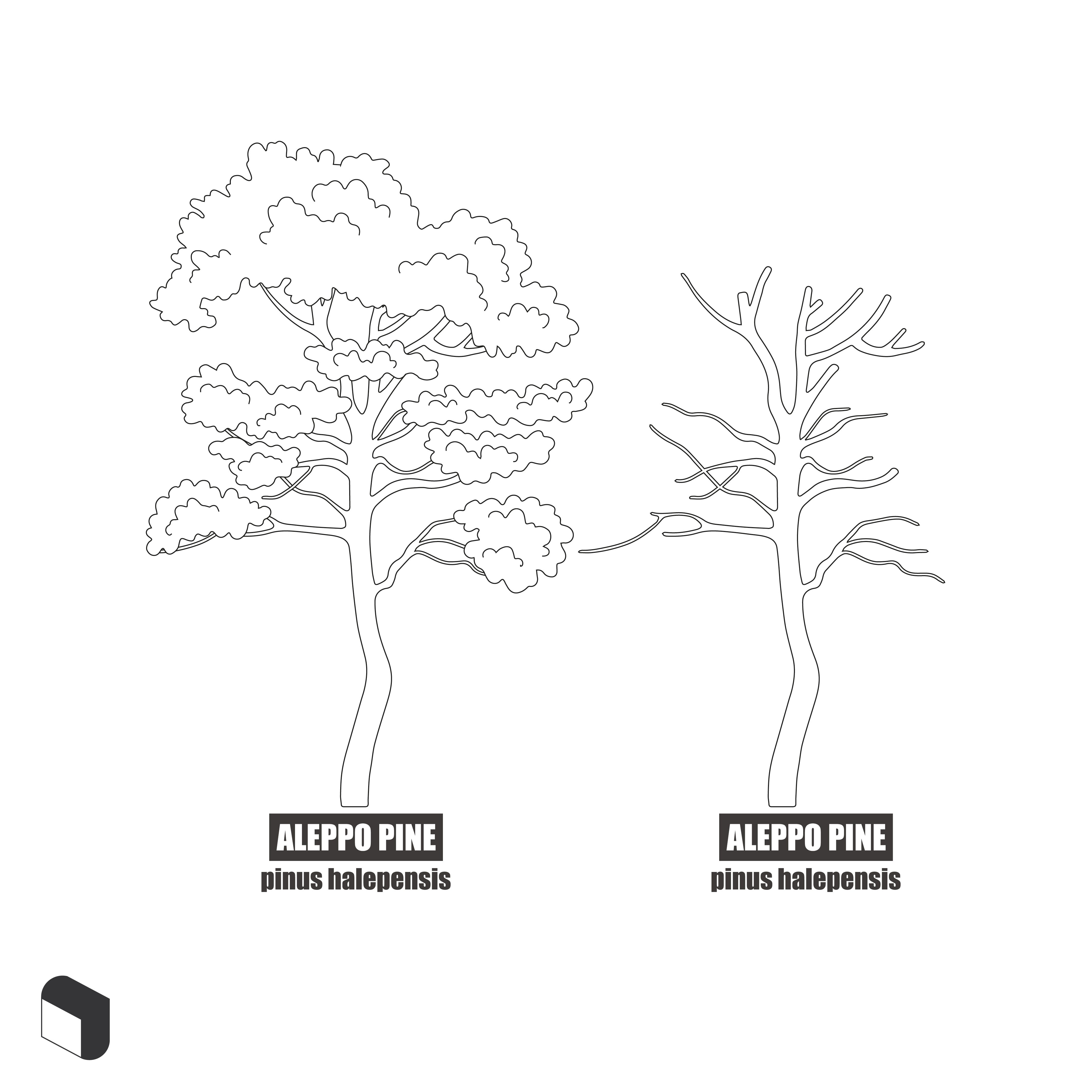 Cad Trees With Names 2 DWG | Toffu Co