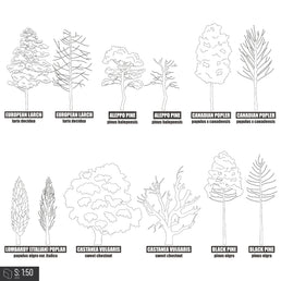 Cad Trees With Names 2 – Toffu Co