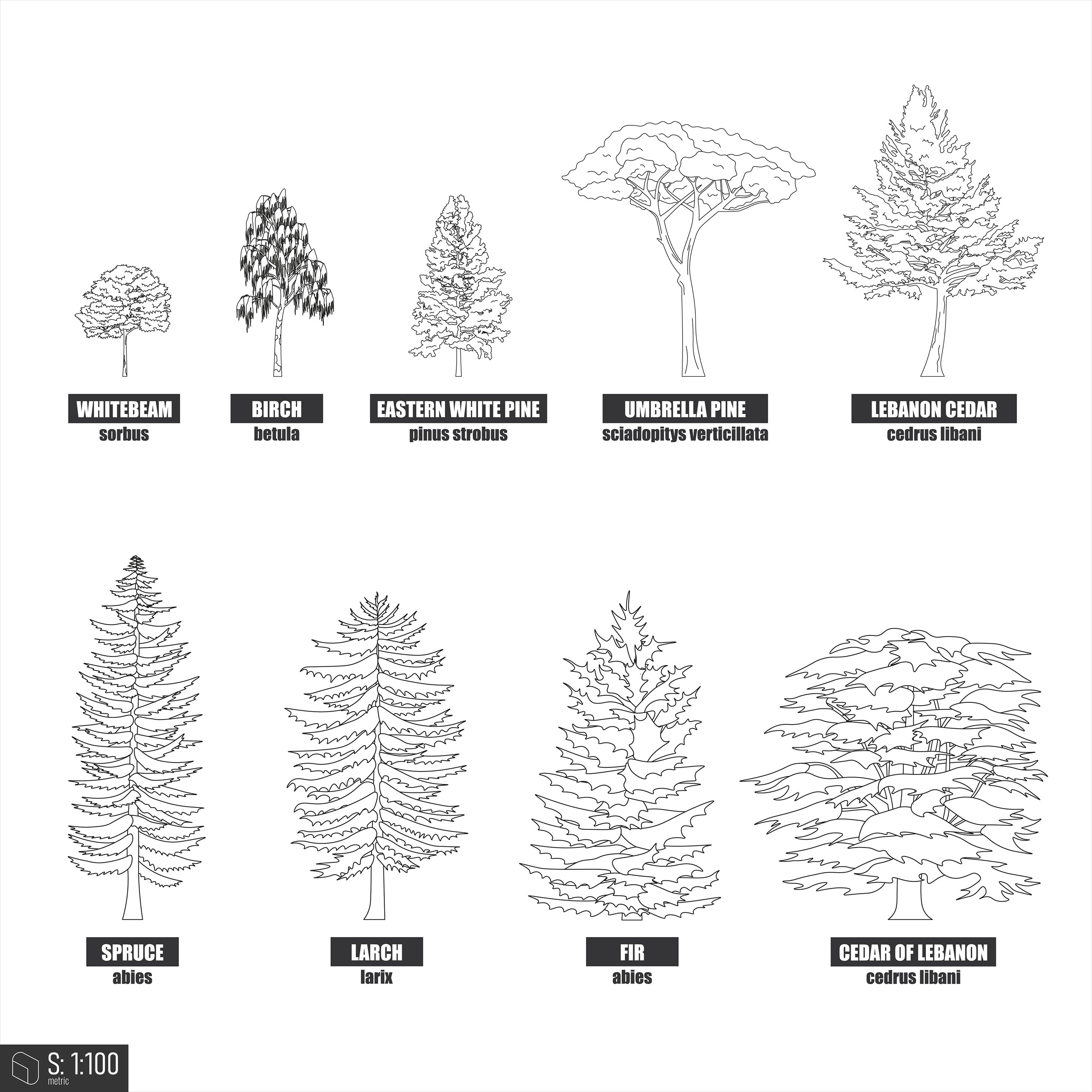 Cad Trees With Names 4 DWG | Toffu Co