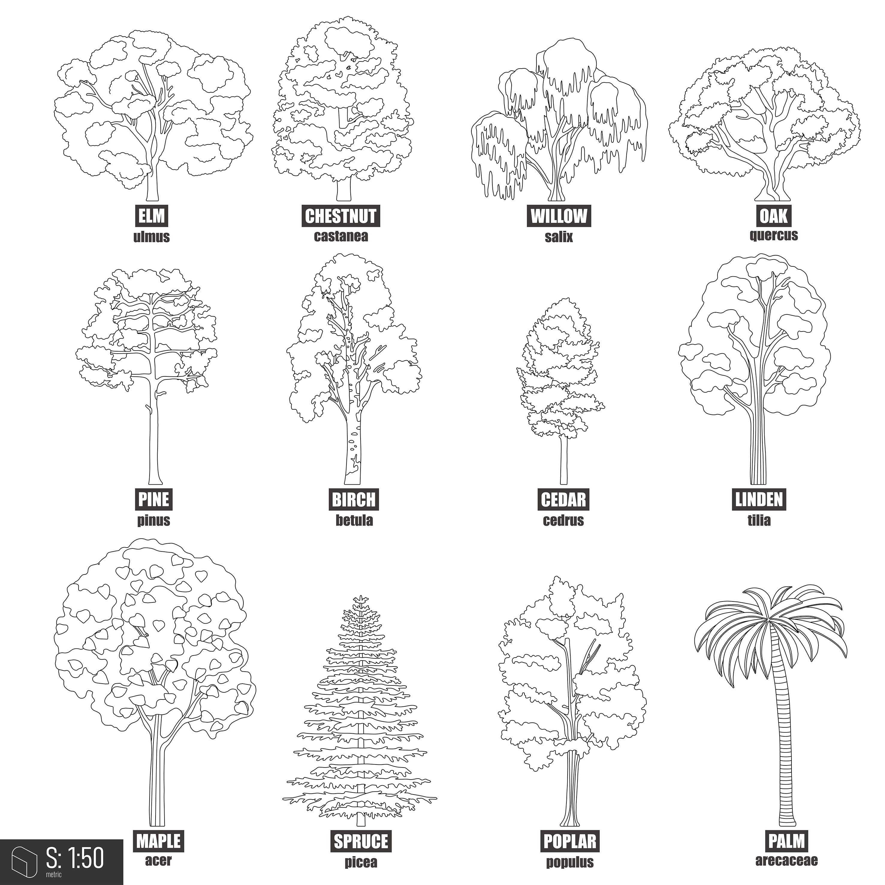 Cad Trees With Names 5 DWG | Toffu Co