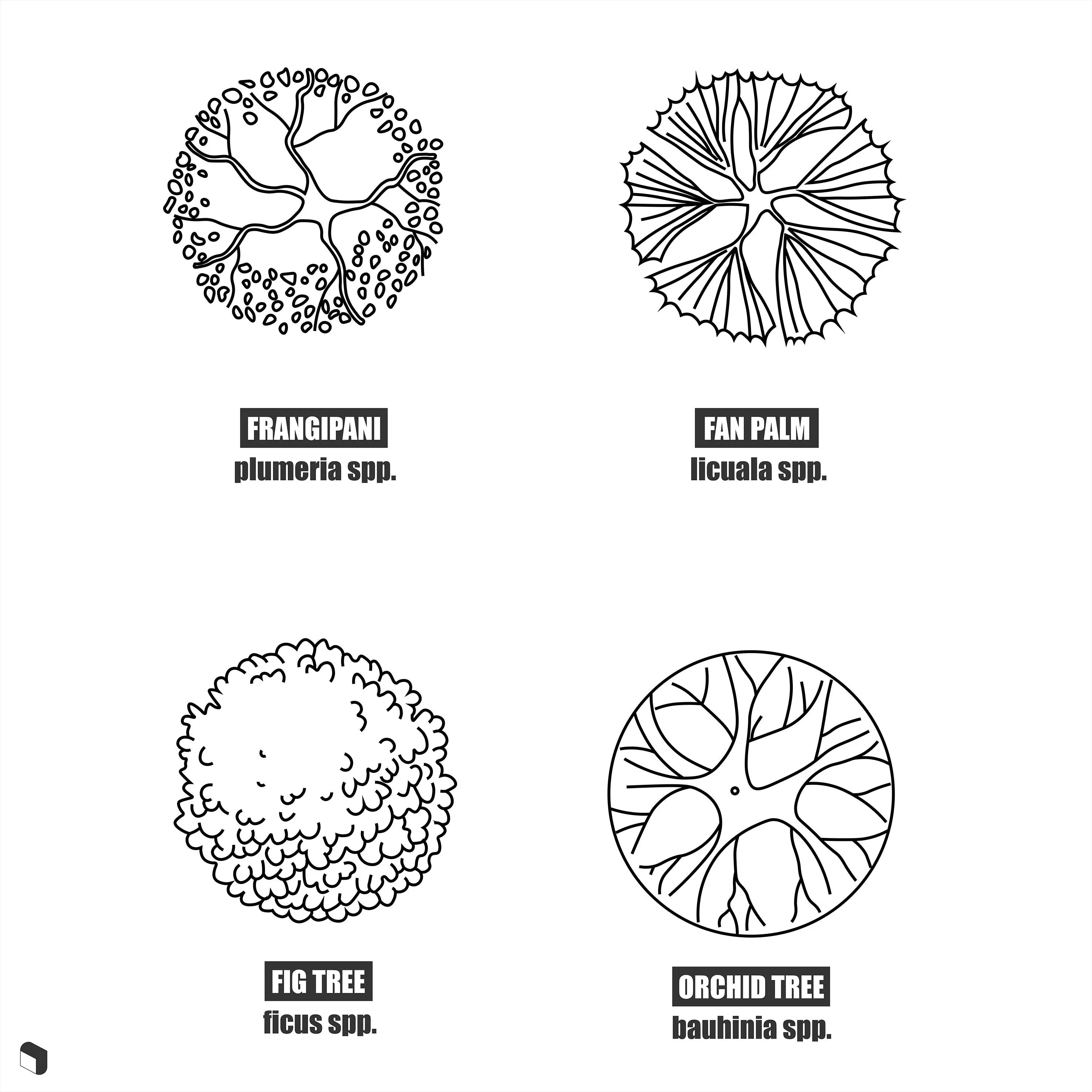 Cad Top View Trees With Names Digital Artwork drawings | Toffu Co