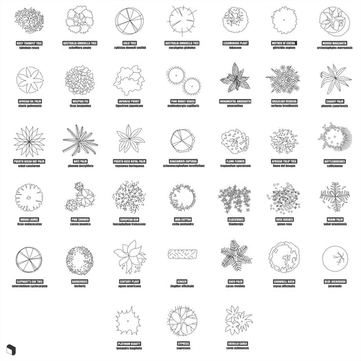 Cad Top View Trees With Names 2 – Toffu Co