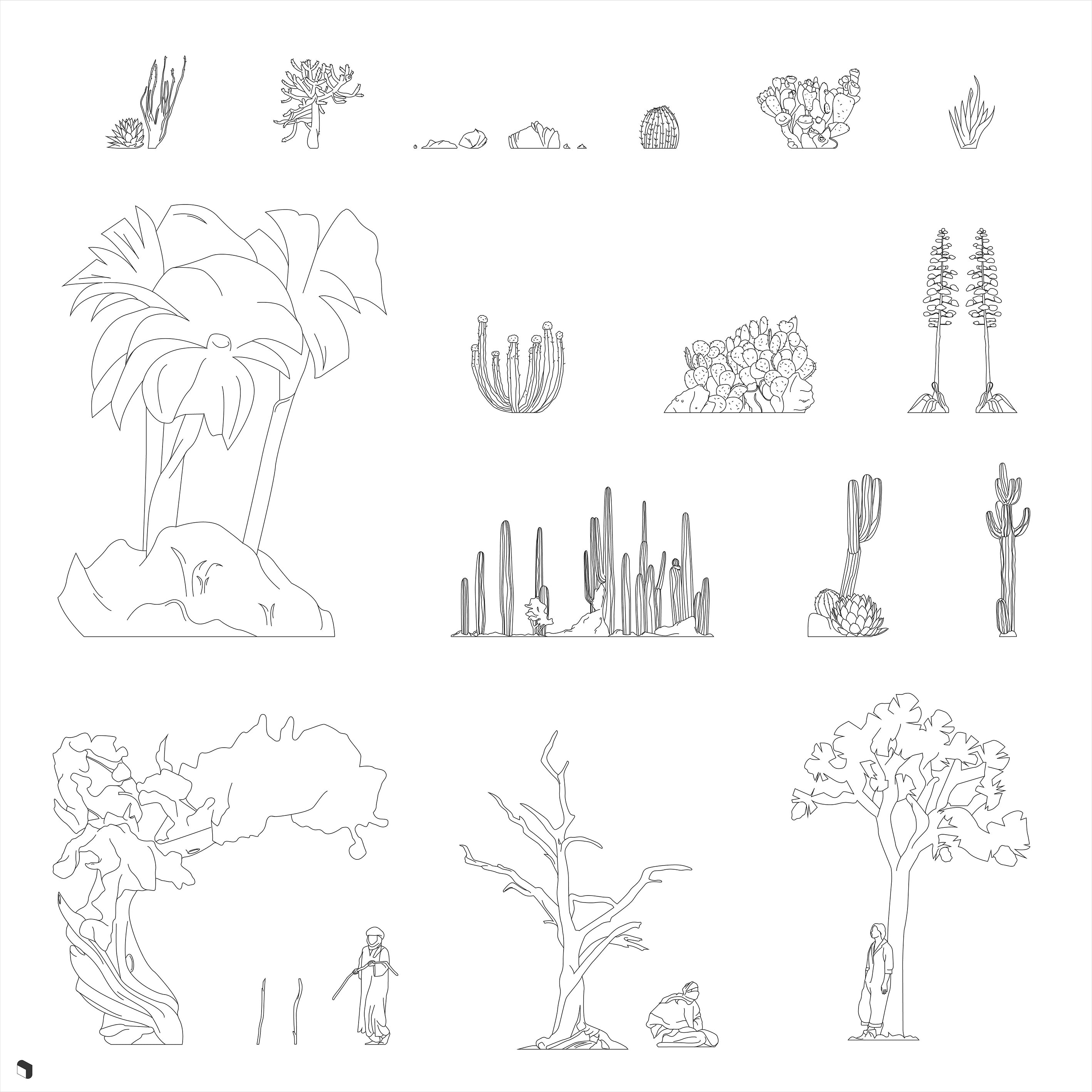 Cad Desert Vegetation DWG | Toffu Co