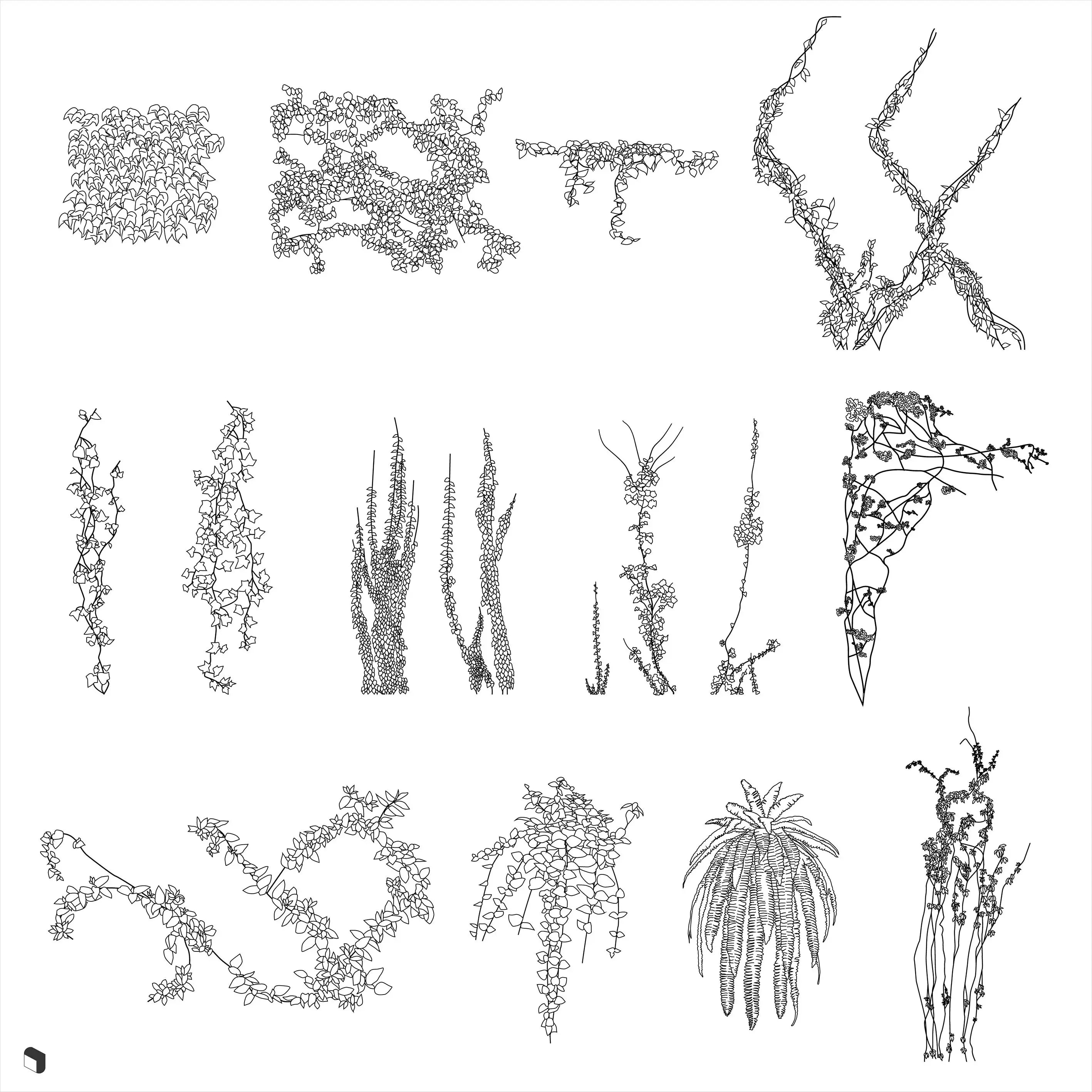 Cad Ivy Vegetation Digital Artwork drawings | Toffu Co