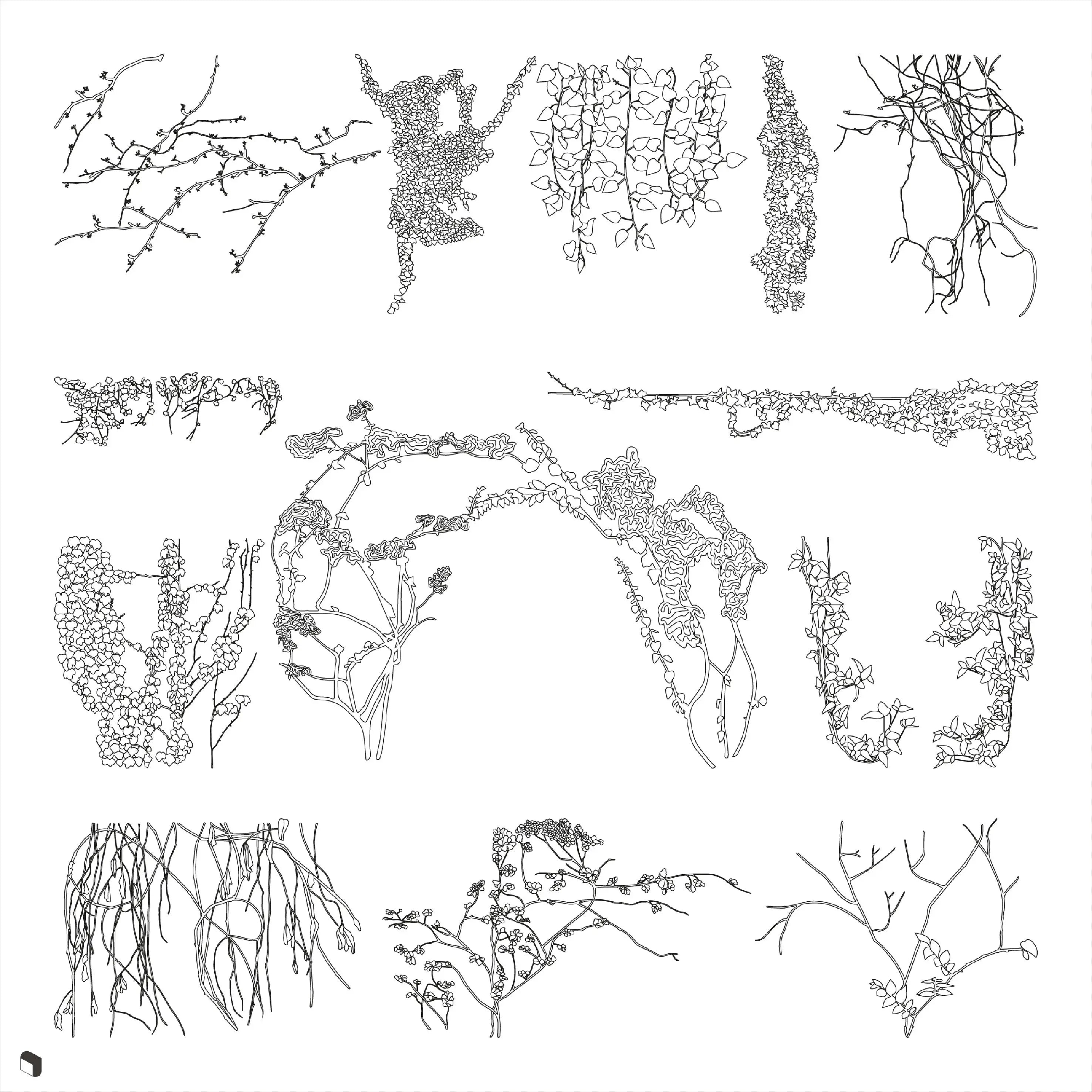 Cad Ivy Vegetation 2 Digital Artwork drawings | Toffu Co