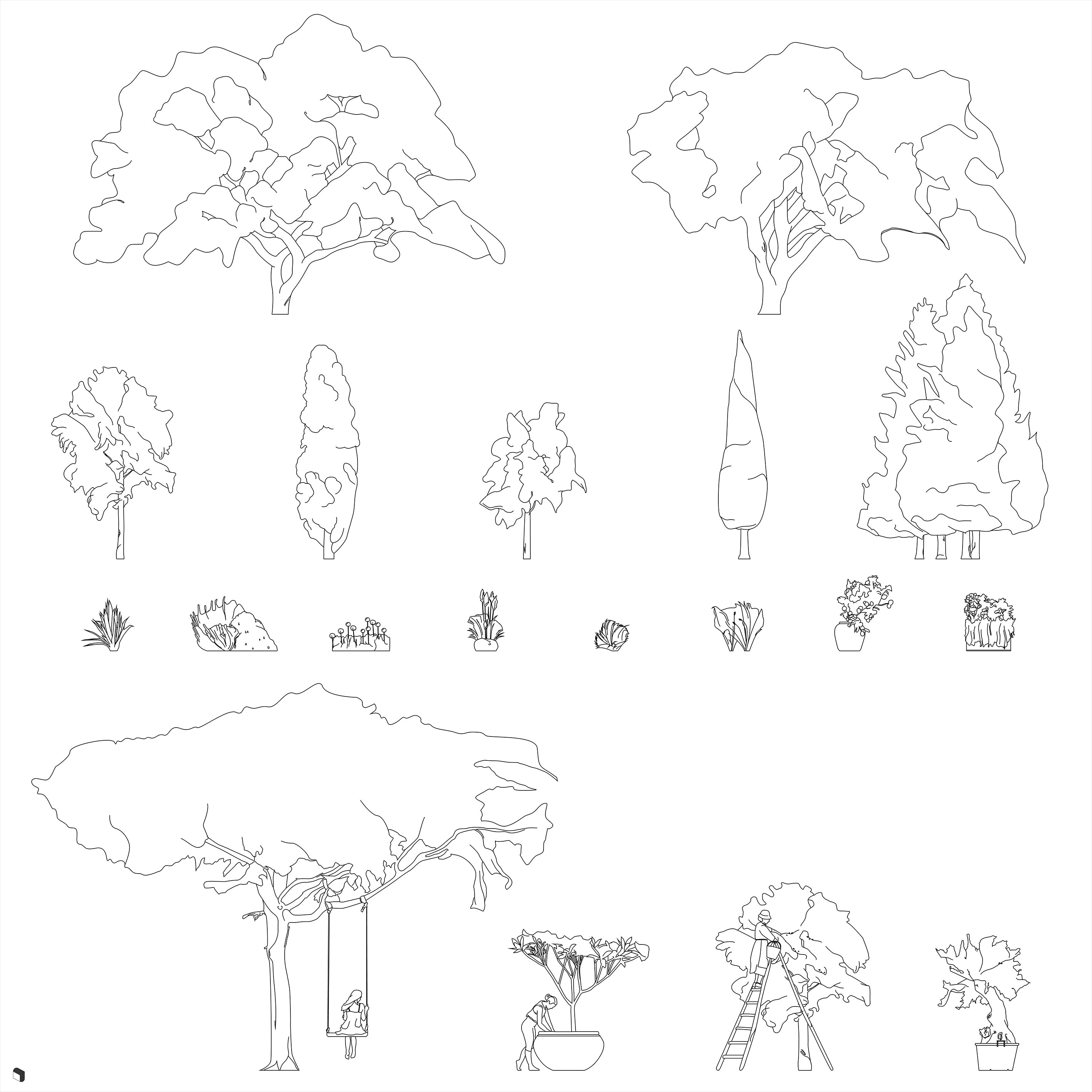 Cad Mediterranean Vegetation DWG | Toffu Co