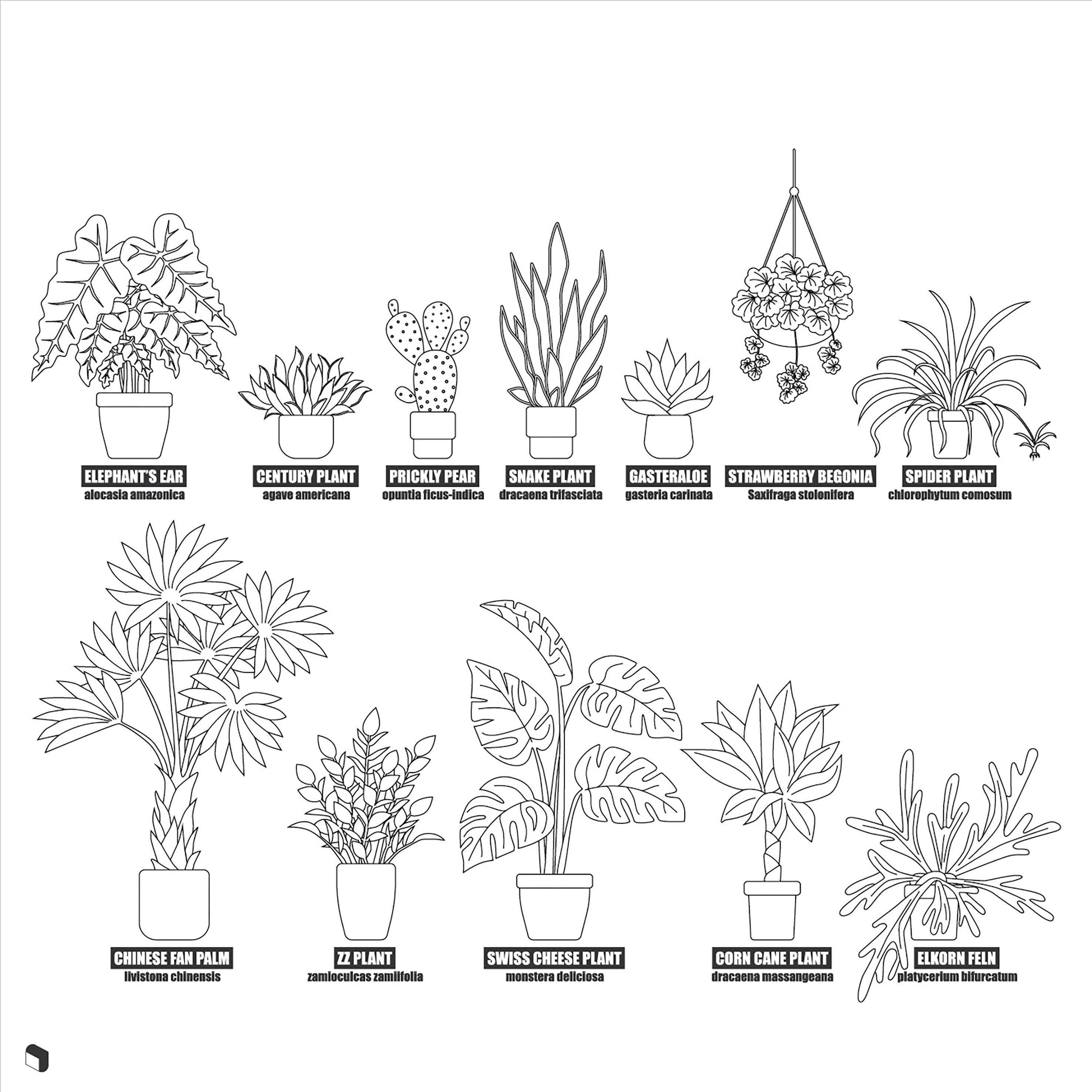 Cad Potted Plants With Names DWG | Toffu Co