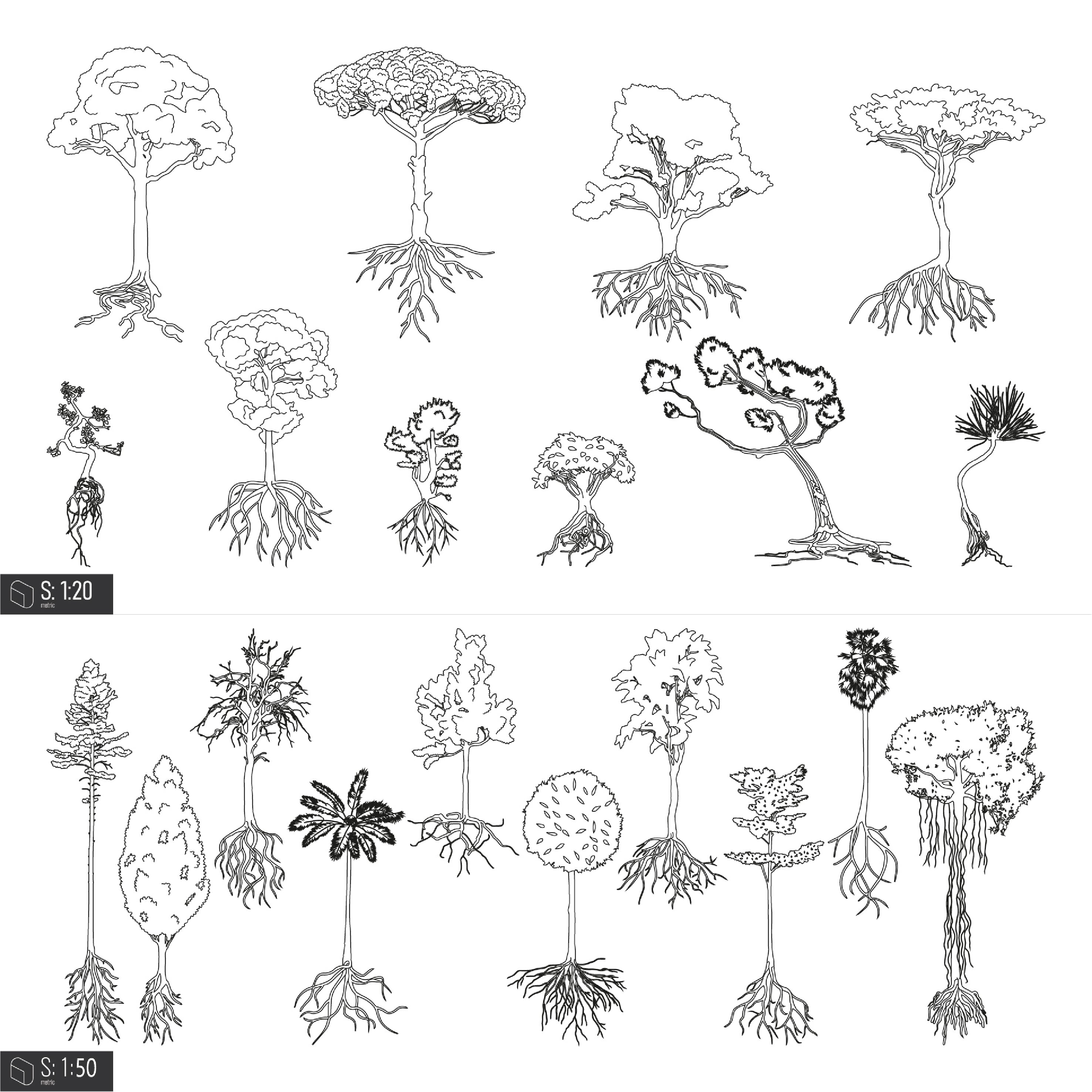 Cad Trees With Roots 2 DWG | Toffu Co