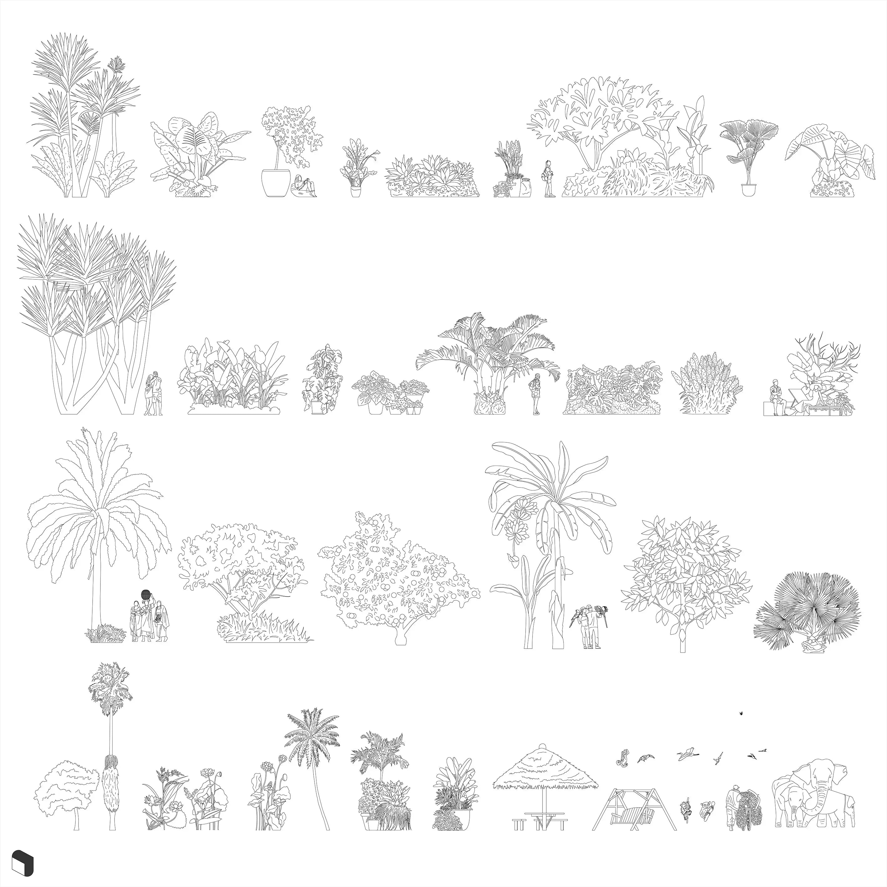 Cad Tropical Garden Vegetation Digital Artwork drawings | Toffu Co